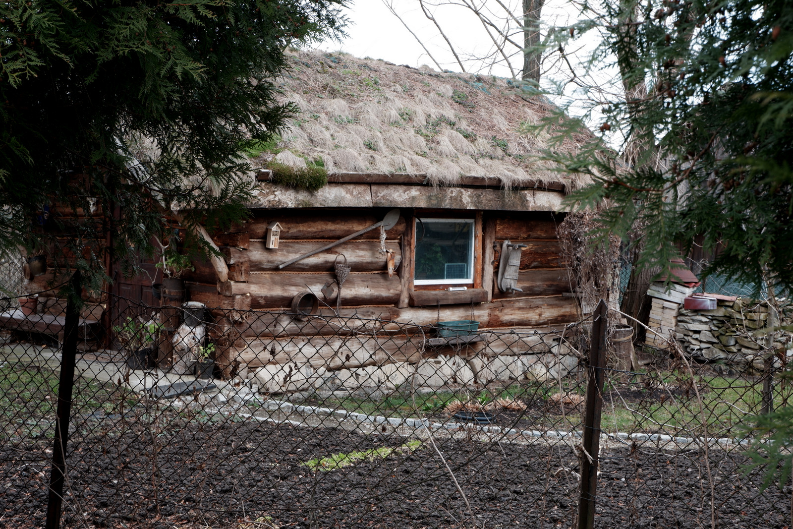 Nazwa:  DSCF4731.JPG
Wyświetleń: 197
Rozmiar:  975,5 KB