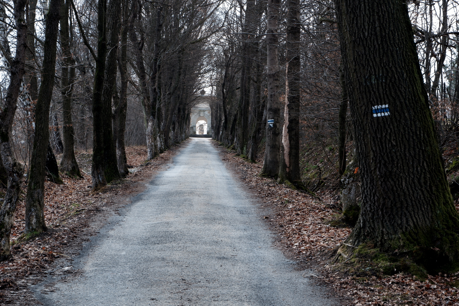 Nazwa:  DSCF4749.JPG
Wyświetleń: 199
Rozmiar:  964,1 KB