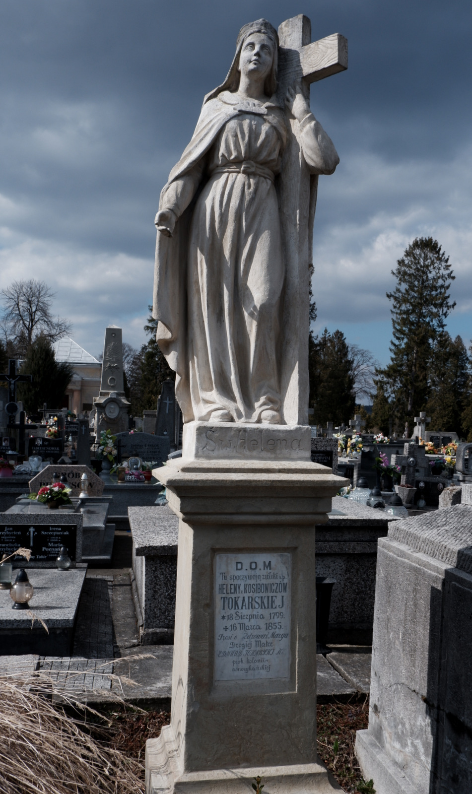 Nazwa:  DSCF4865.JPG
Wyświetleń: 230
Rozmiar:  470,4 KB