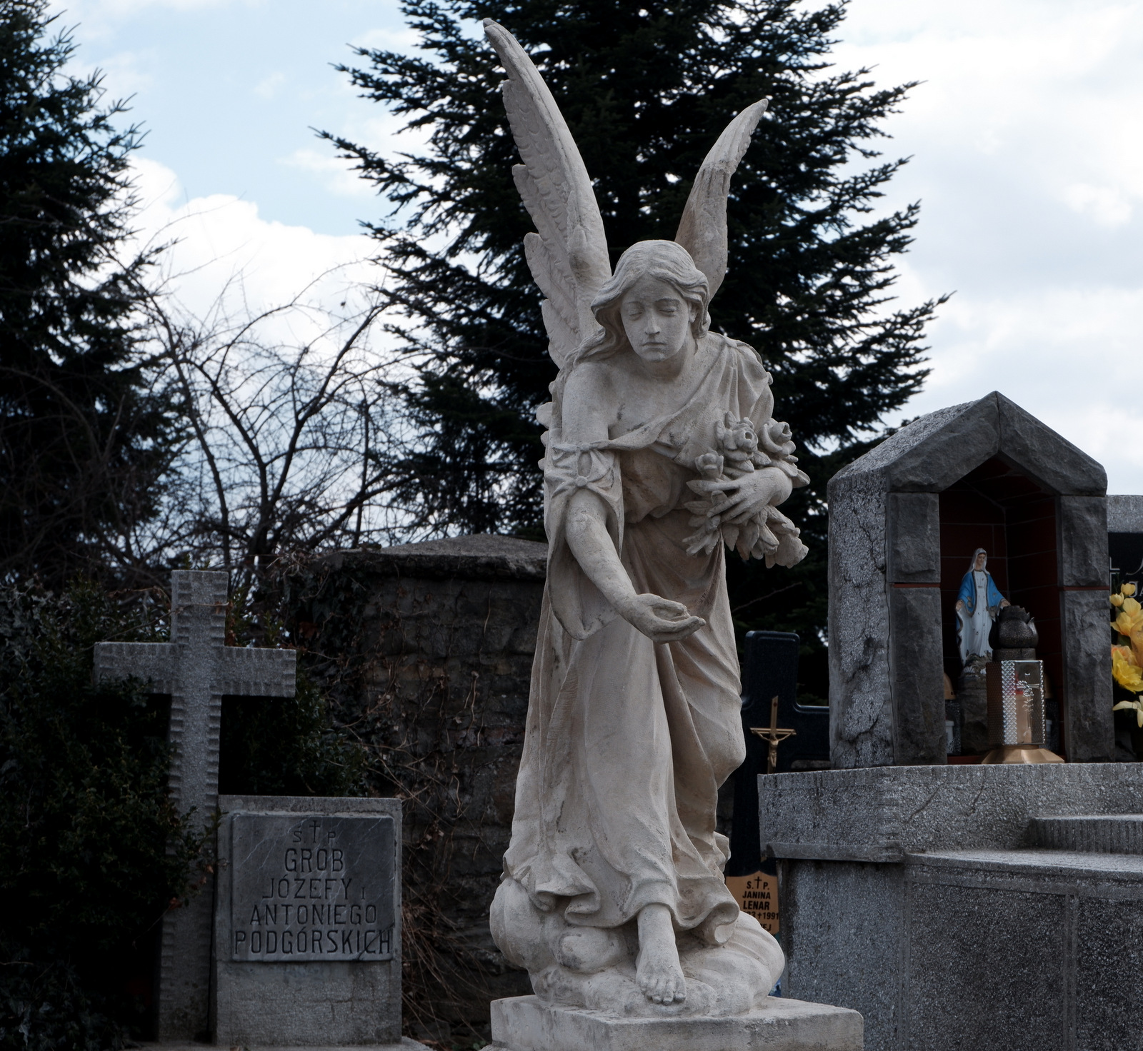 Nazwa:  DSCF4872.JPG
Wyświetleń: 187
Rozmiar:  815,9 KB