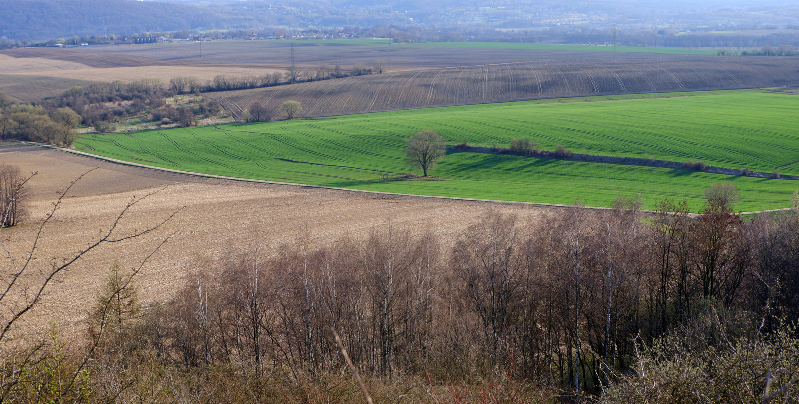 Nazwa:  DSCF5114.JPG
Wyświetleń: 177
Rozmiar:  725,5 KB