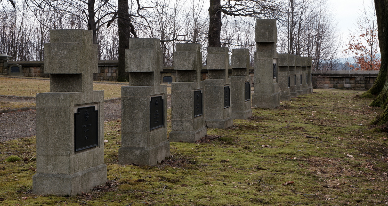 Nazwa:  DSCF4760.JPG
Wyświetleń: 171
Rozmiar:  758,0 KB