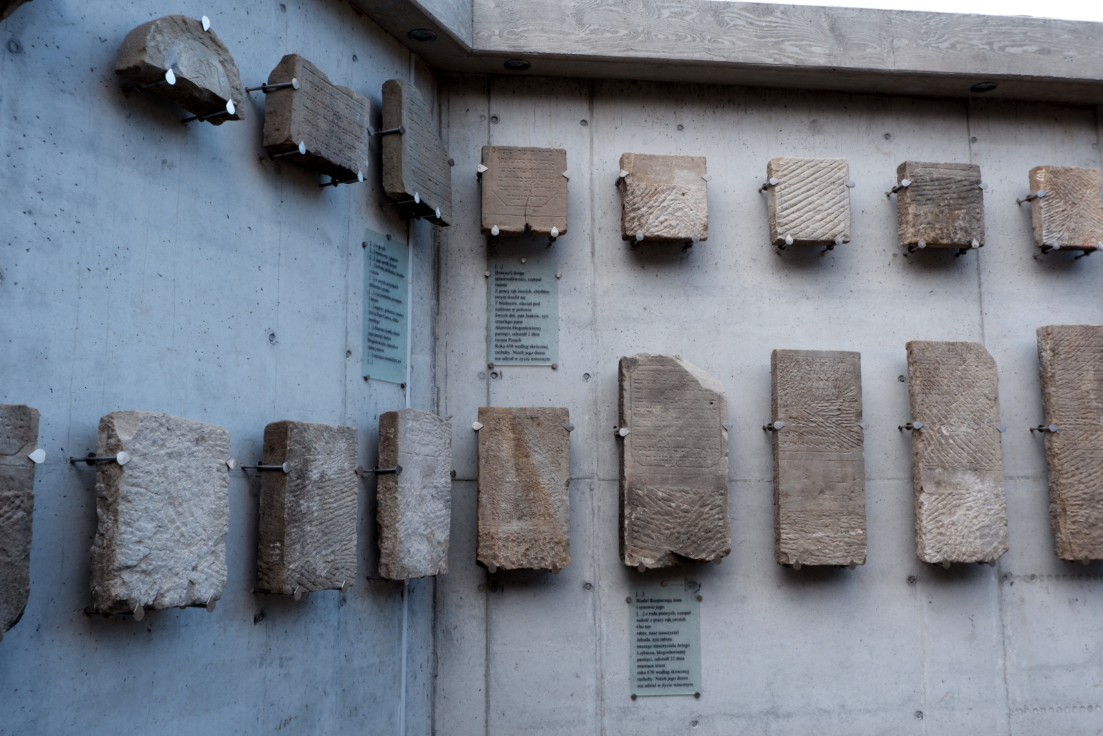 Nazwa:  DSCF4781.JPG
Wyświetleń: 161
Rozmiar:  506,0 KB