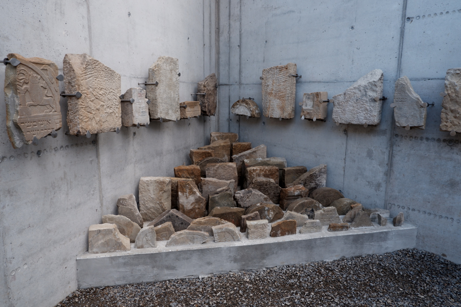 Nazwa:  DSCF4784.JPG
Wyświetleń: 198
Rozmiar:  550,5 KB