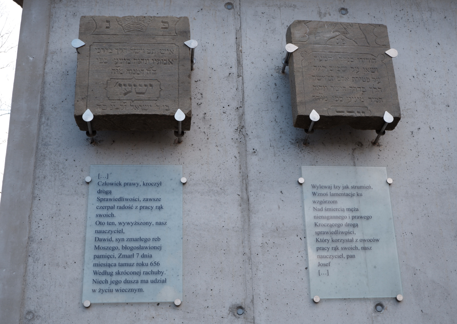 Nazwa:  DSCF4777.JPG
Wyświetleń: 162
Rozmiar:  534,3 KB