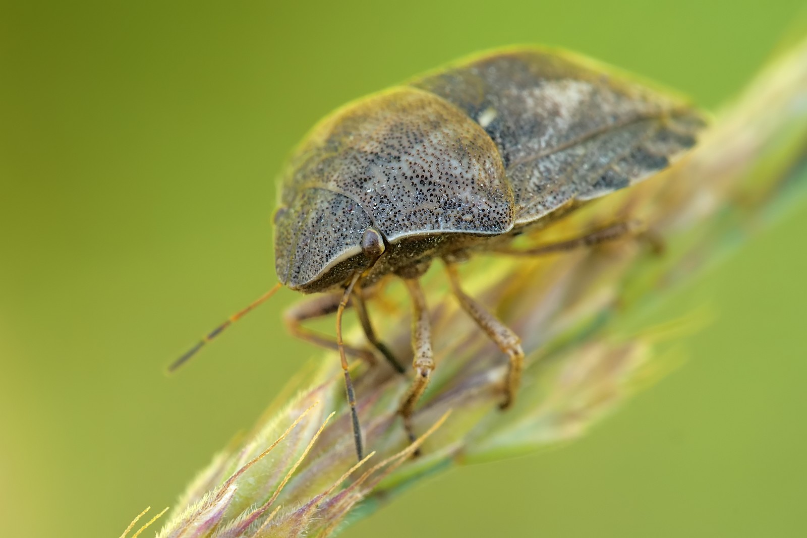 Nazwa:  50867713797_22d4d7bdfe_o.jpg
Wyświetleń: 132
Rozmiar:  170,6 KB