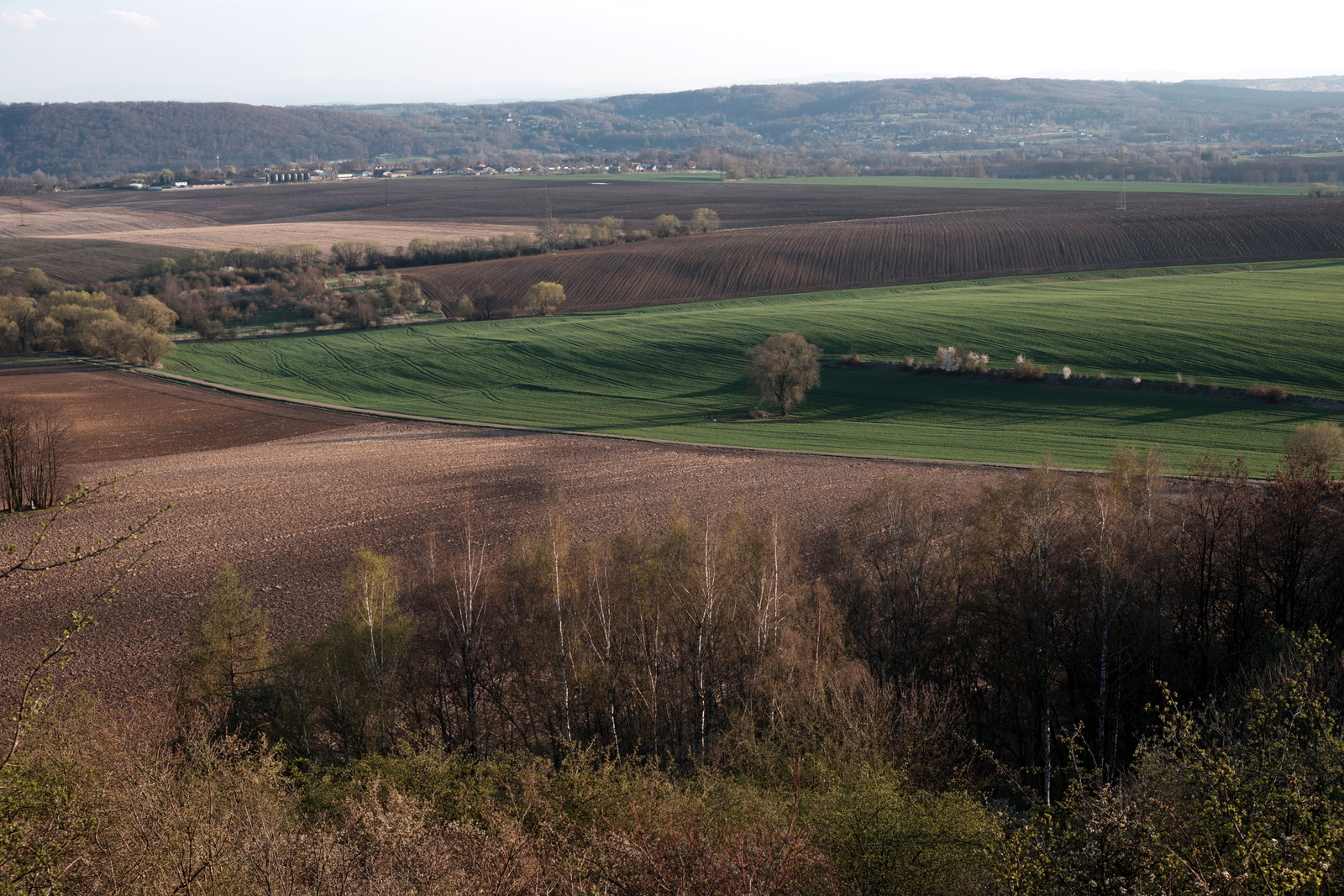 Nazwa:  DSCF5290.JPG
Wyświetleń: 293
Rozmiar:  813,0 KB