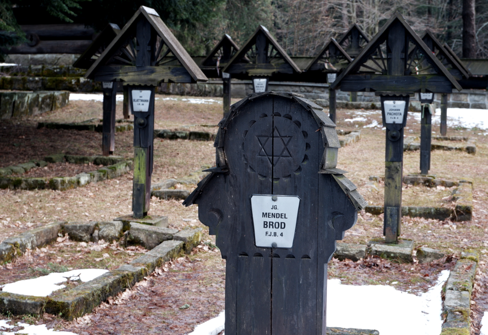 Nazwa:  DSCF4948.JPG
Wyświetleń: 225
Rozmiar:  590,5 KB