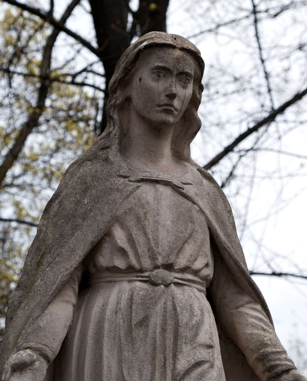 Nazwa:  DSCF5334.JPG
Wyświetleń: 156
Rozmiar:  646,3 KB