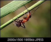 Kliknij obrazek, aby uzyskać większą wersję

Nazwa:	Rudnica 1.jpg
Wyświetleń:	328
Rozmiar:	1,91 MB
ID:	233127
