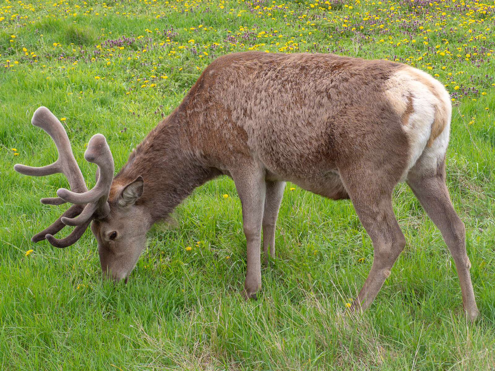 Nazwa:  12.jpg
Wyświetleń: 245
Rozmiar:  3,02 MB