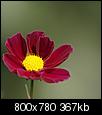 Kliknij obrazek, aby uzyskać większą wersję

Nazwa:	kwiatek_1_-Resizer-800Q100M.jpg
Wyświetleń:	697
Rozmiar:	366,6 KB
ID:	23343