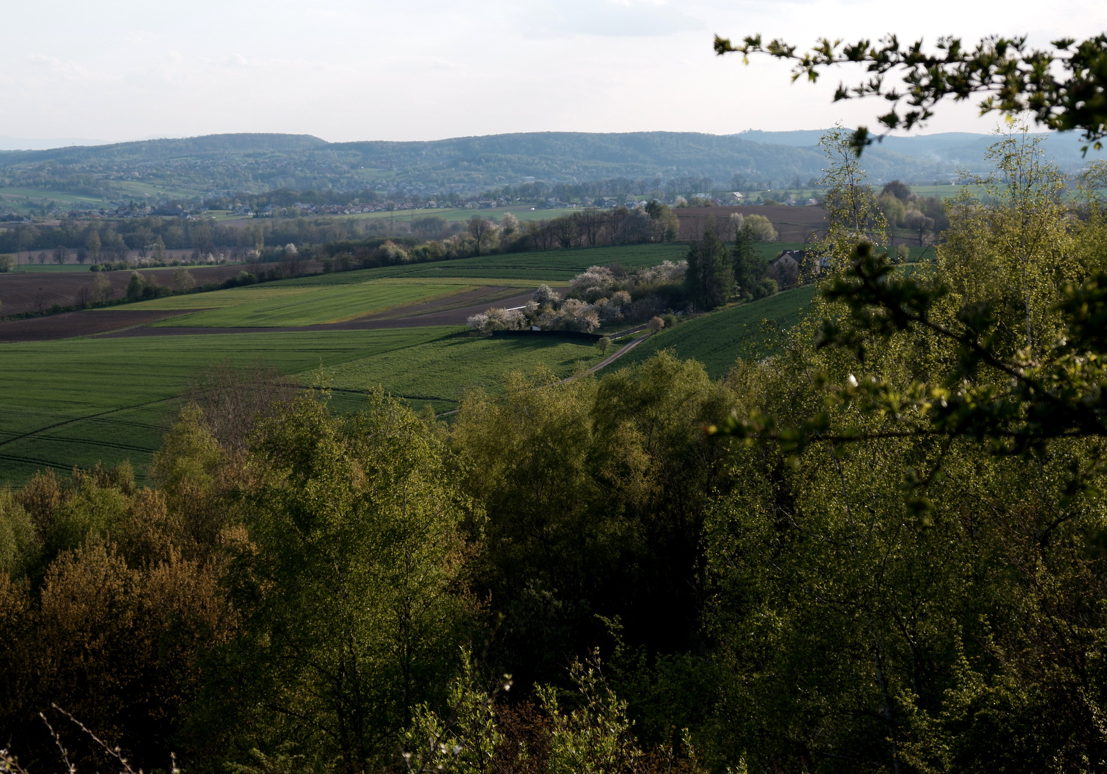 Nazwa:  DSCF5368.JPG
Wyświetleń: 212
Rozmiar:  812,8 KB