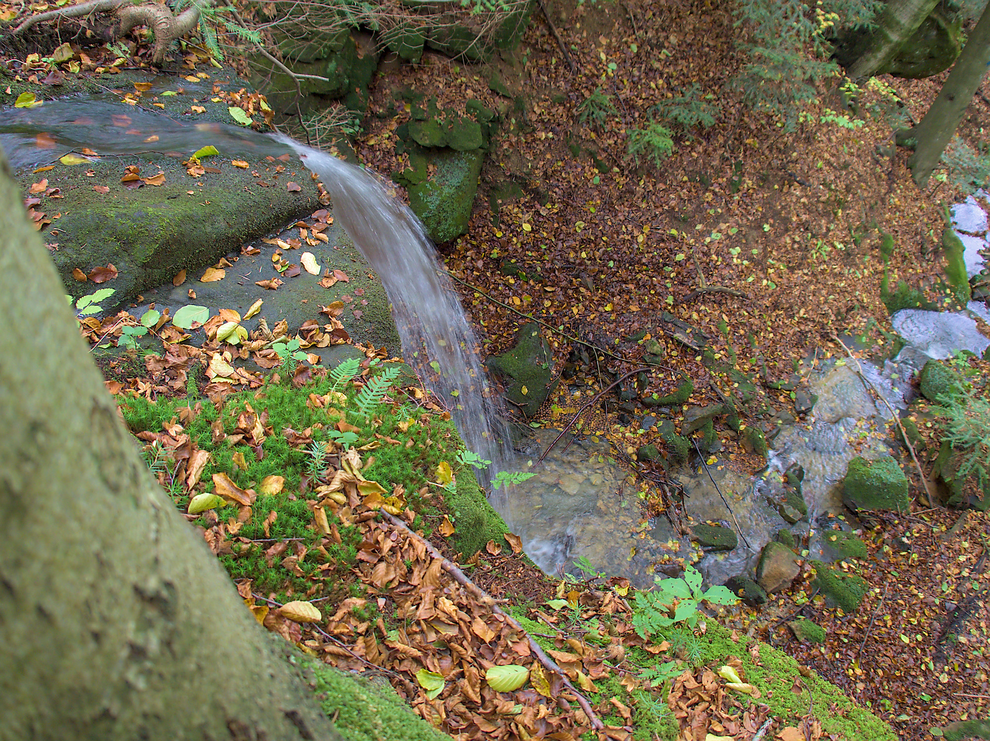 Nazwa:  PA211872.jpg
Wyświetleń: 183
Rozmiar:  1,66 MB