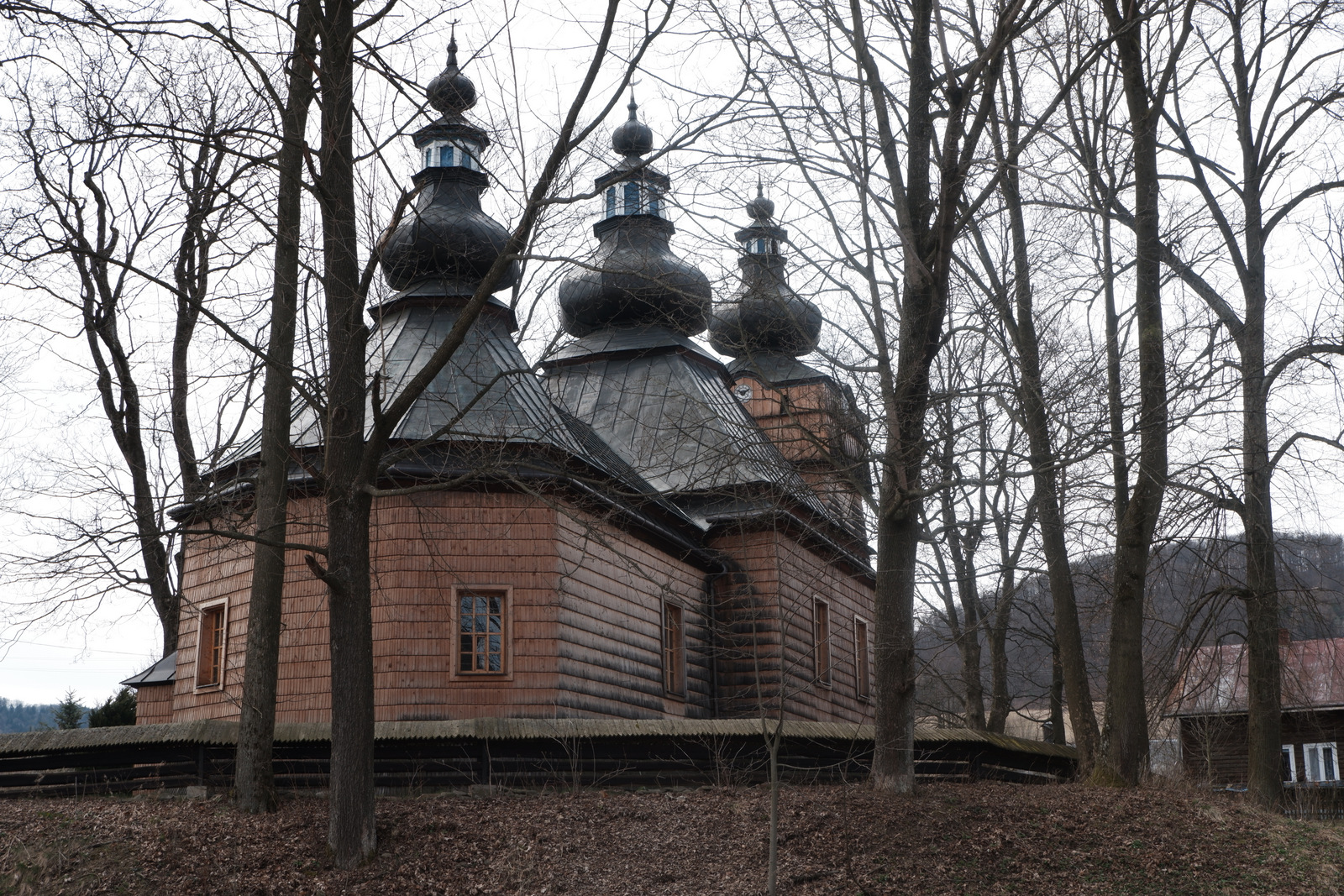 Nazwa:  DSCF5184.JPG
Wyświetleń: 283
Rozmiar:  954,7 KB