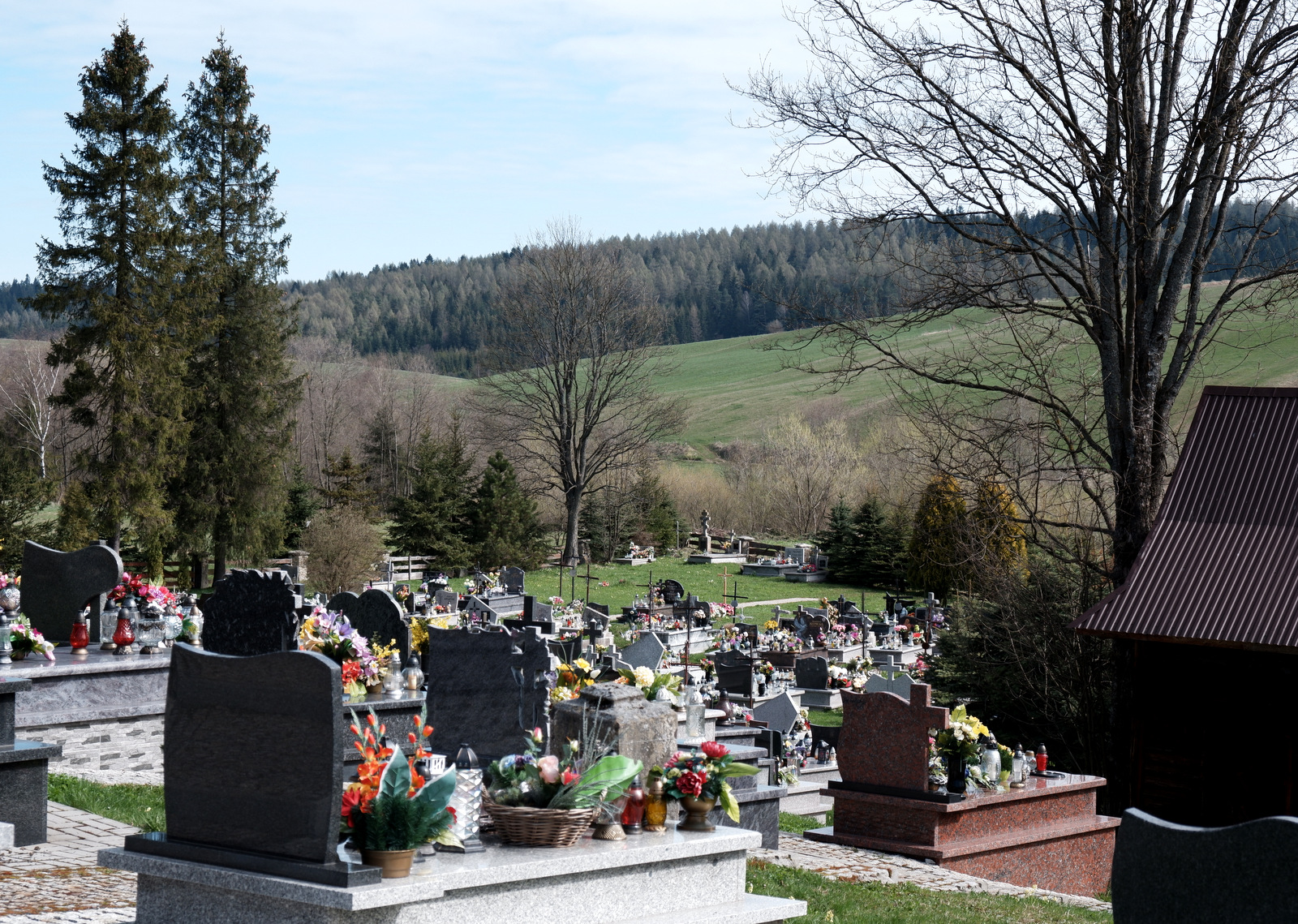 Nazwa:  DSCF5382.JPG
Wyświetleń: 270
Rozmiar:  954,4 KB