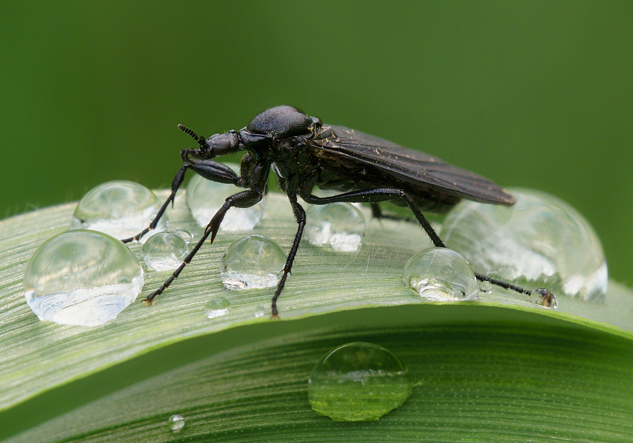 Nazwa:  _2225815 2.jpg
Wyświetleń: 109
Rozmiar:  1,15 MB