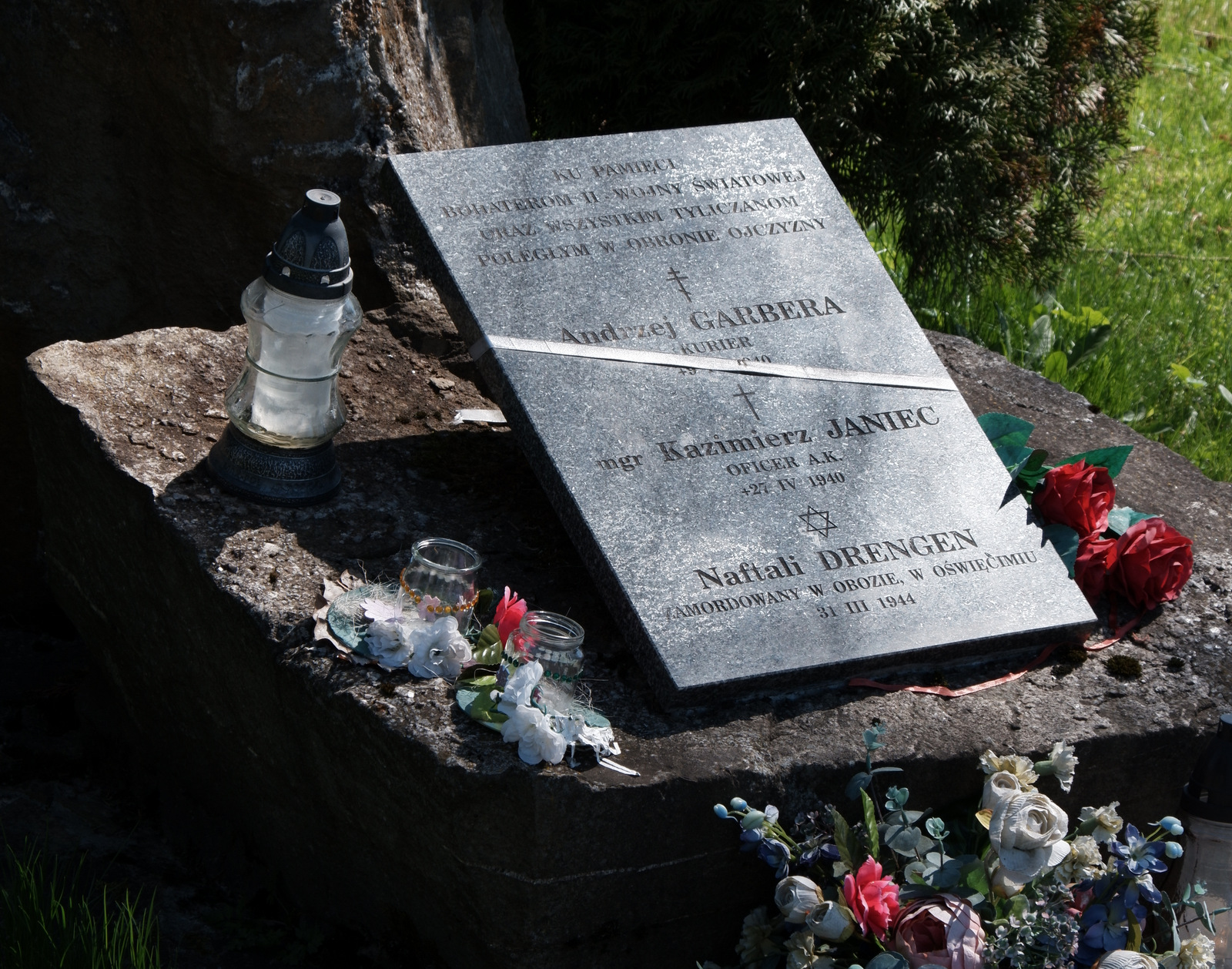 Nazwa:  DSCF5412.JPG
Wyświetleń: 260
Rozmiar:  814,7 KB