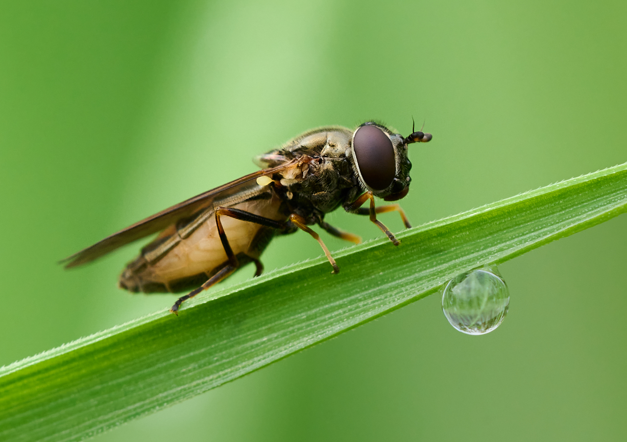 Nazwa:  _2225877.jpg
Wyświetleń: 93
Rozmiar:  773,7 KB