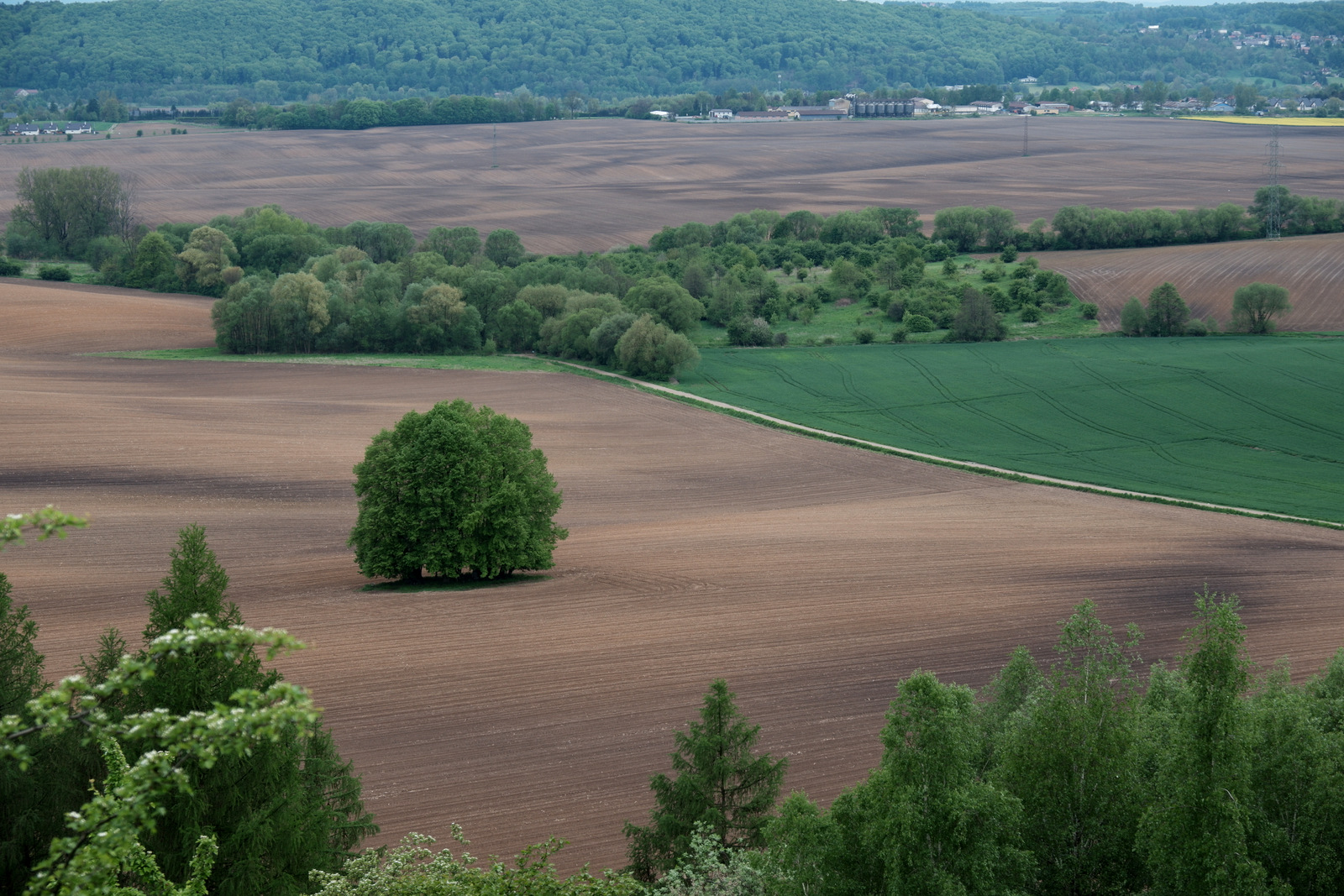 Nazwa:  DSCF5539.JPG
Wyświetleń: 95
Rozmiar:  691,2 KB
