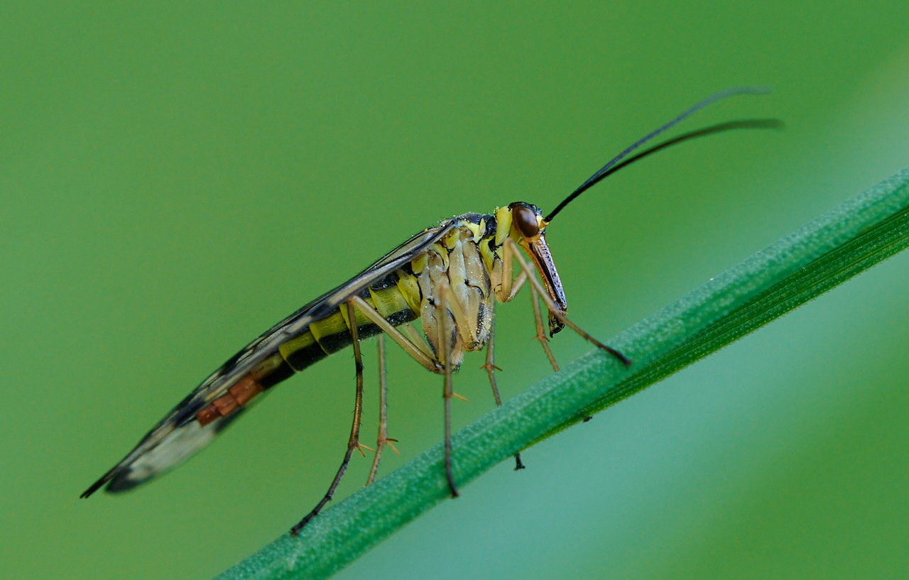 Nazwa:  _2225946 14.jpg
Wyświetleń: 118
Rozmiar:  963,6 KB