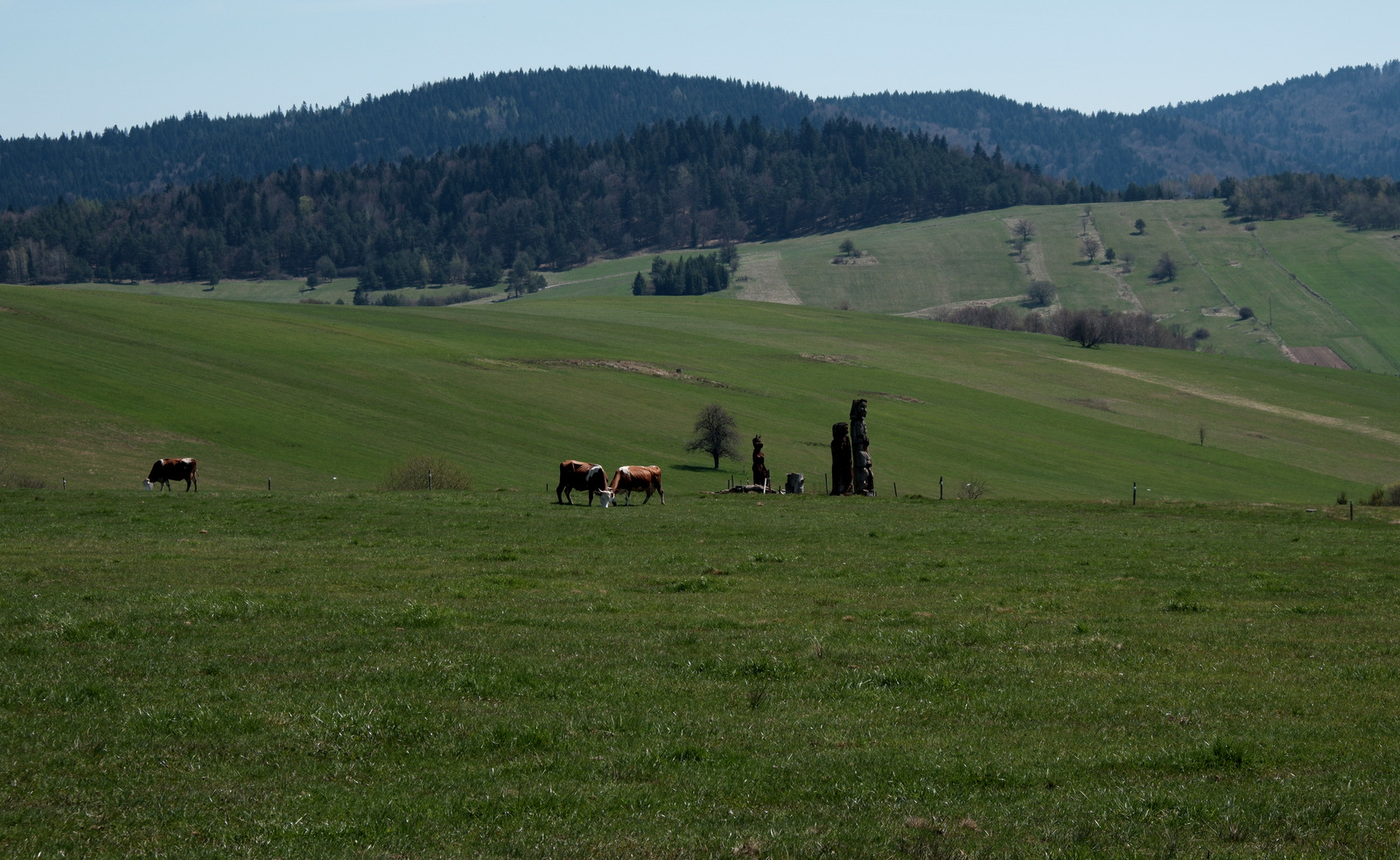 Nazwa:  DSCF5422.JPG
Wyświetleń: 184
Rozmiar:  603,3 KB