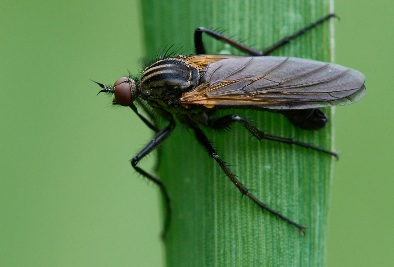 Nazwa:  _2225967 2.jpg
Wyświetleń: 119
Rozmiar:  931,6 KB