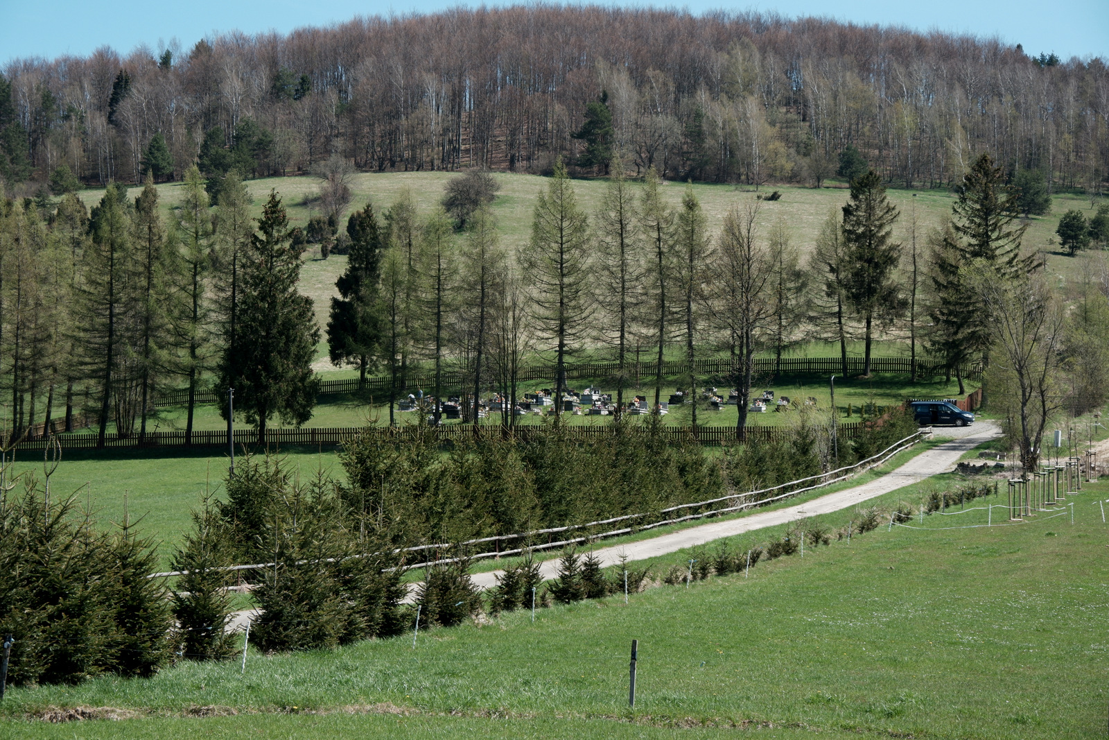 Nazwa:  DSCF5426.JPG
Wyświetleń: 166
Rozmiar:  970,6 KB