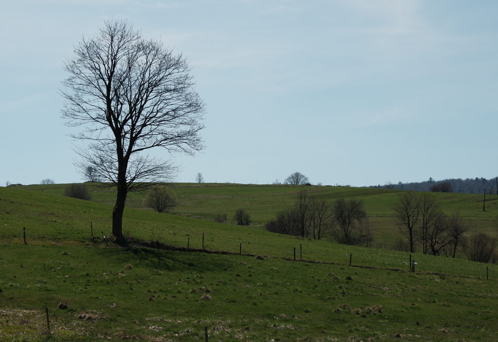 Nazwa:  DSCF5442.JPG
Wyświetleń: 165
Rozmiar:  519,2 KB