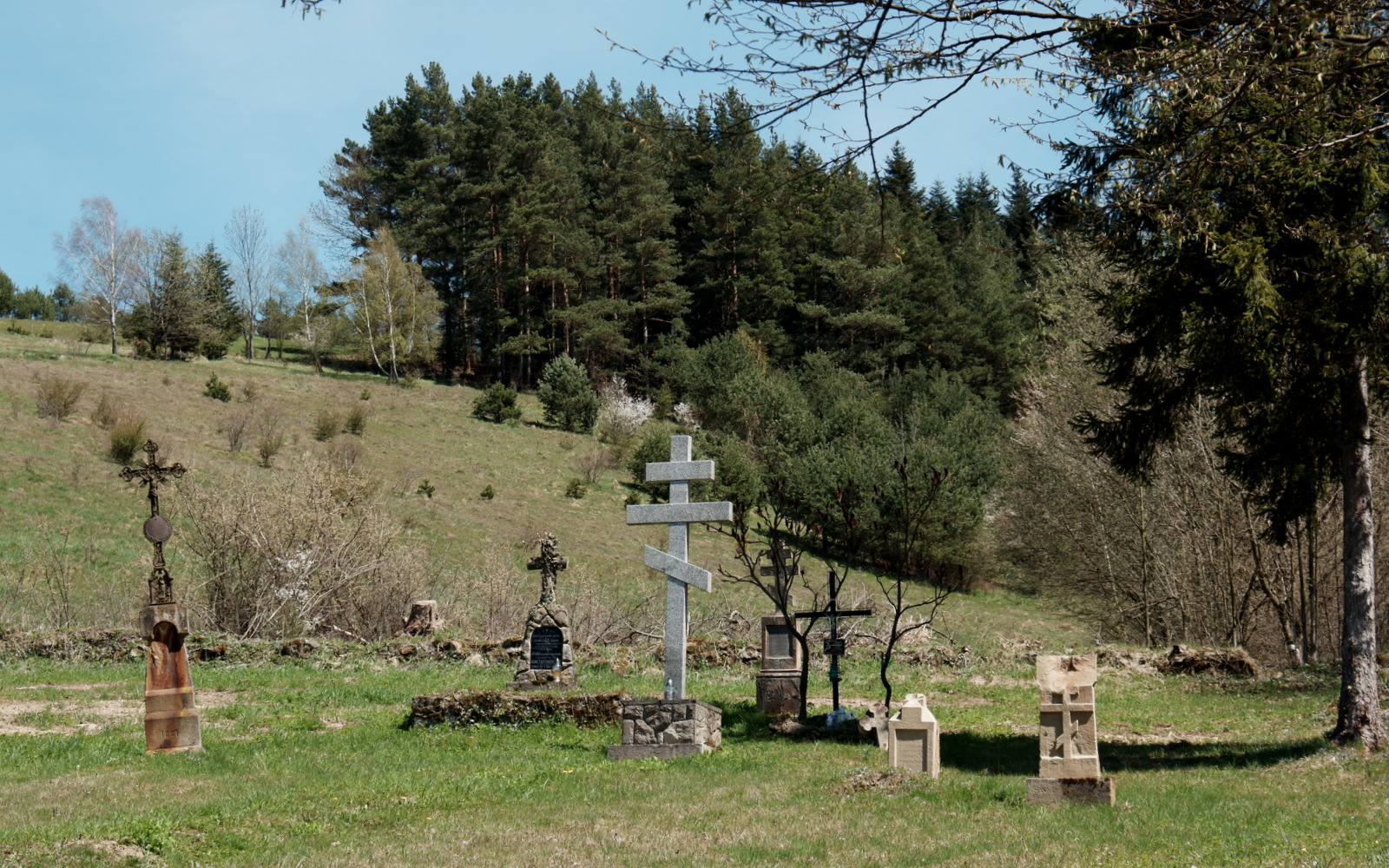 Nazwa:  DSCF5459.JPG
Wyświetleń: 149
Rozmiar:  823,3 KB