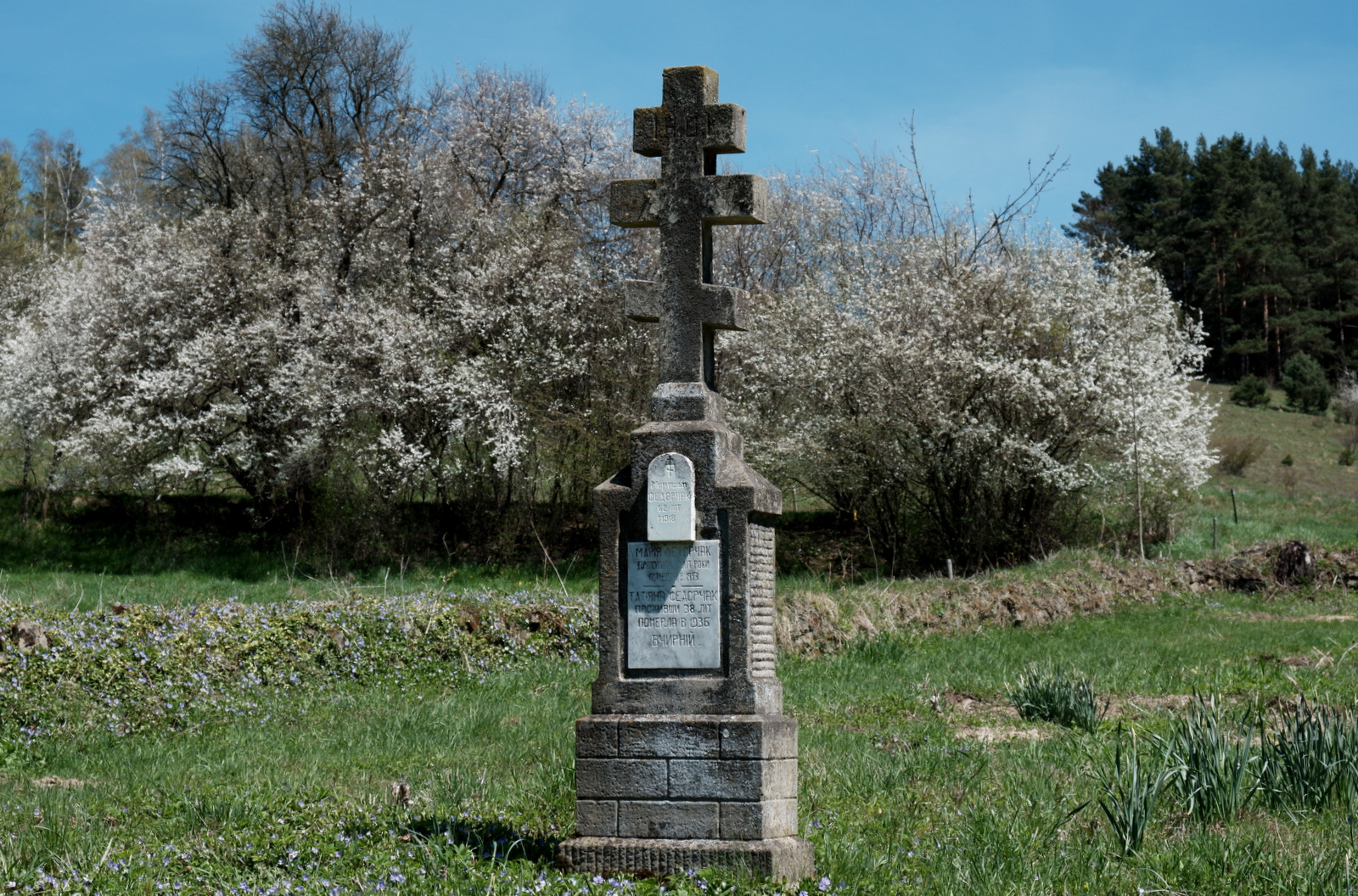 Nazwa:  DSCF5461.JPG
Wyświetleń: 160
Rozmiar:  844,9 KB