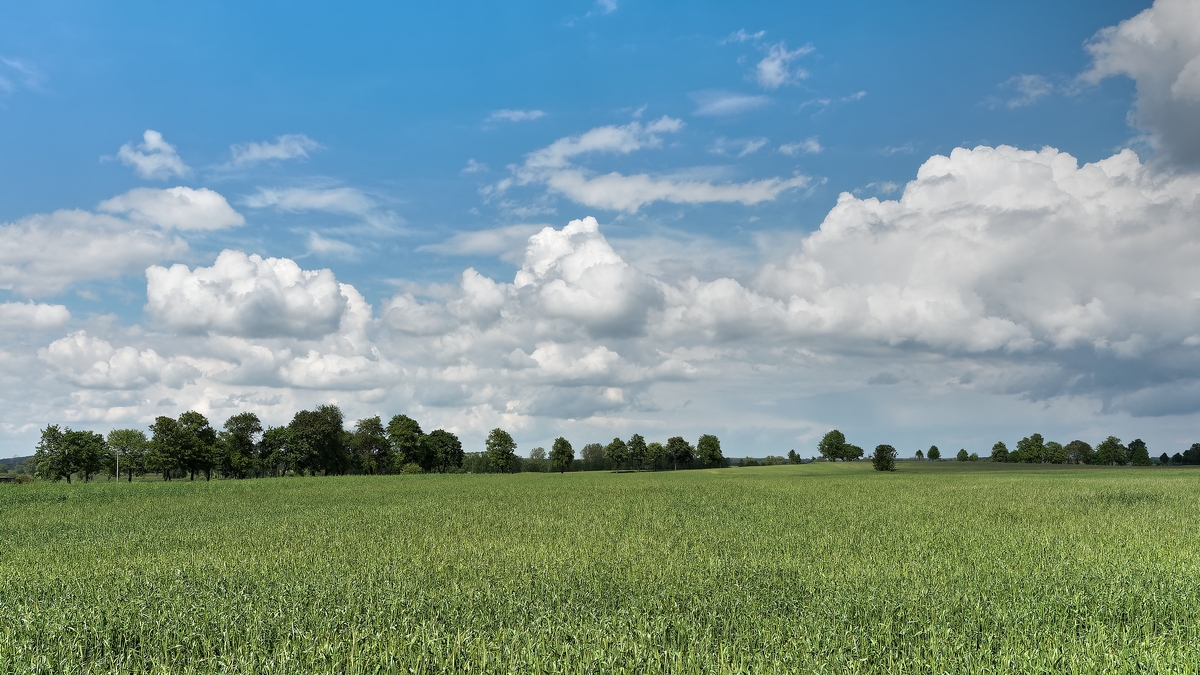 Nazwa:  krajobraz.jpg
Wyświetleń: 163
Rozmiar:  652,0 KB