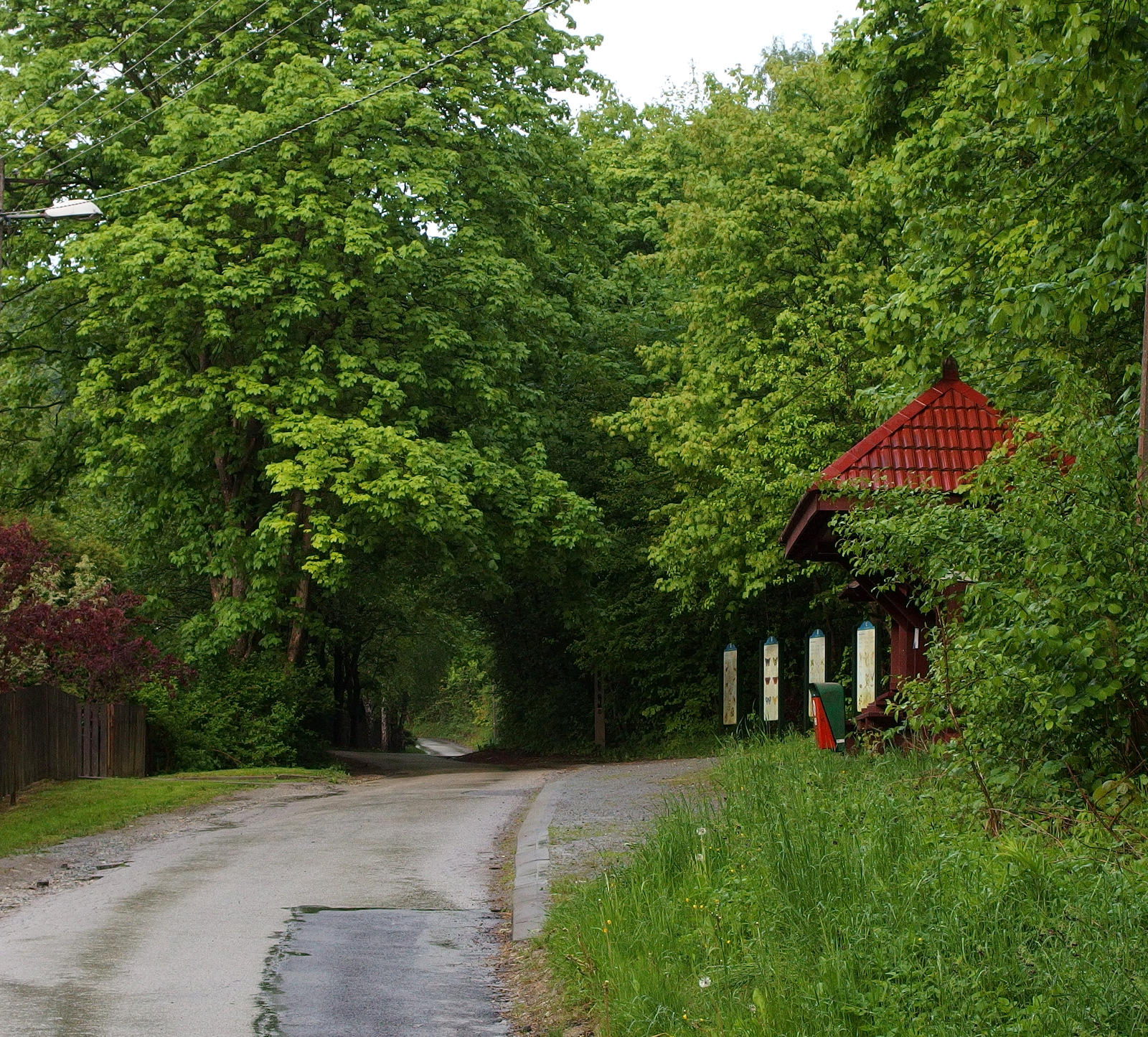 Nazwa:  P5280357.JPG
Wyświetleń: 142
Rozmiar:  1,37 MB