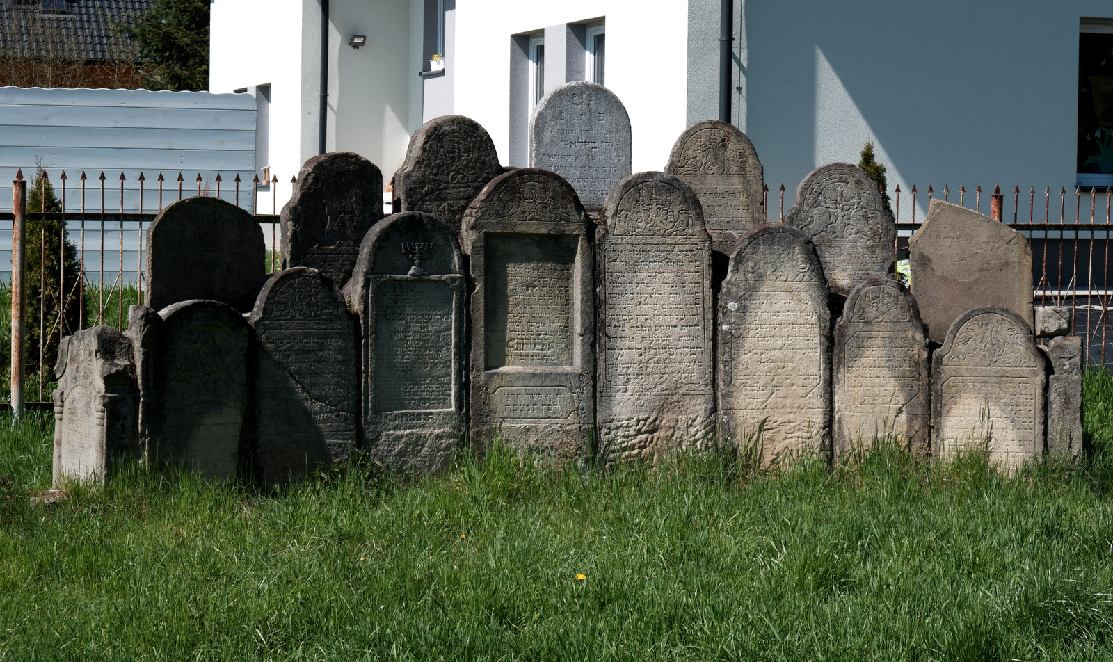 Nazwa:  DSCF5499.JPG
Wyświetleń: 130
Rozmiar:  785,4 KB