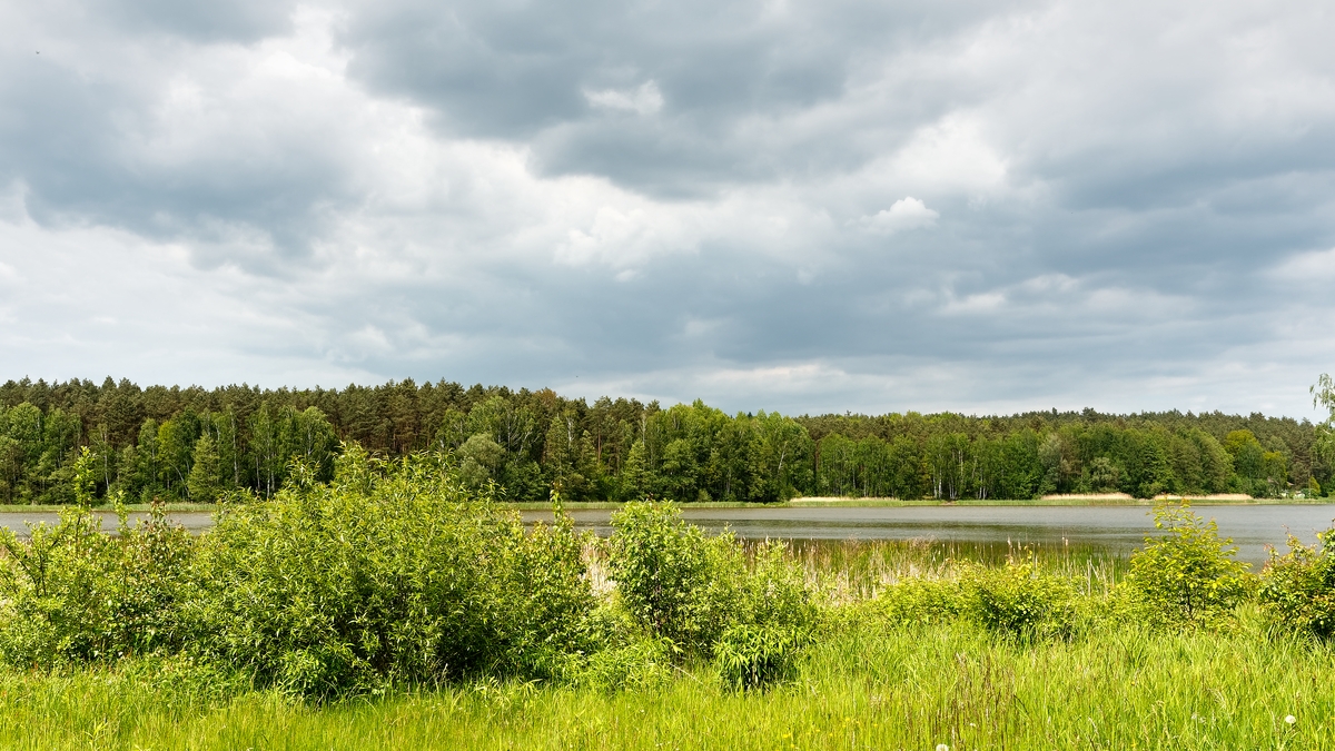 Nazwa:  krajobraz.jpg
Wyświetleń: 218
Rozmiar:  721,6 KB