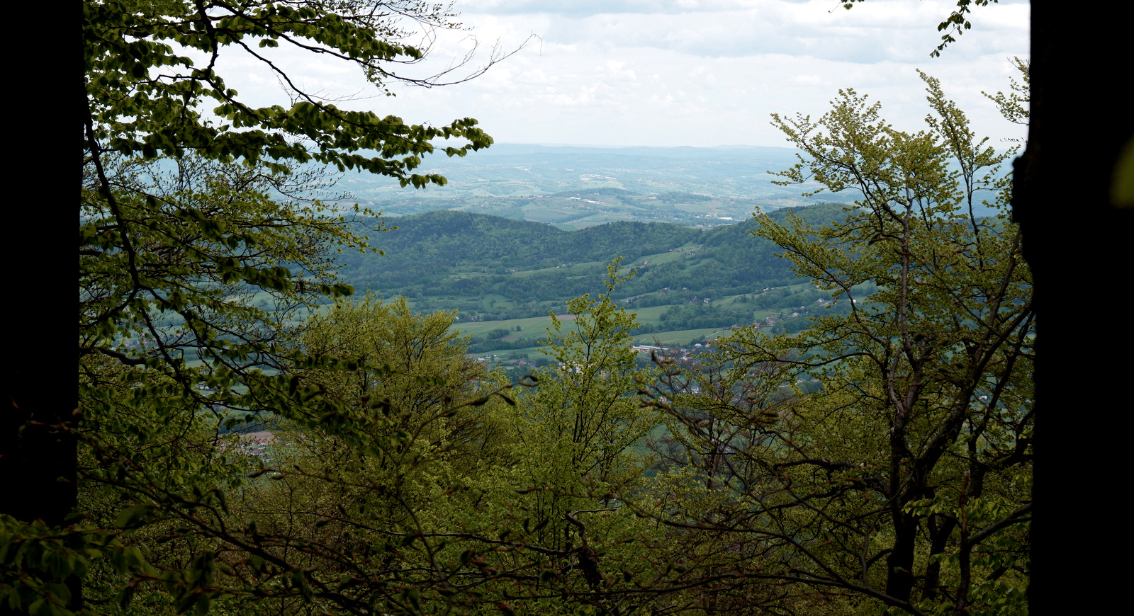Nazwa:  DSCF5544.JPG
Wyświetleń: 142
Rozmiar:  736,3 KB