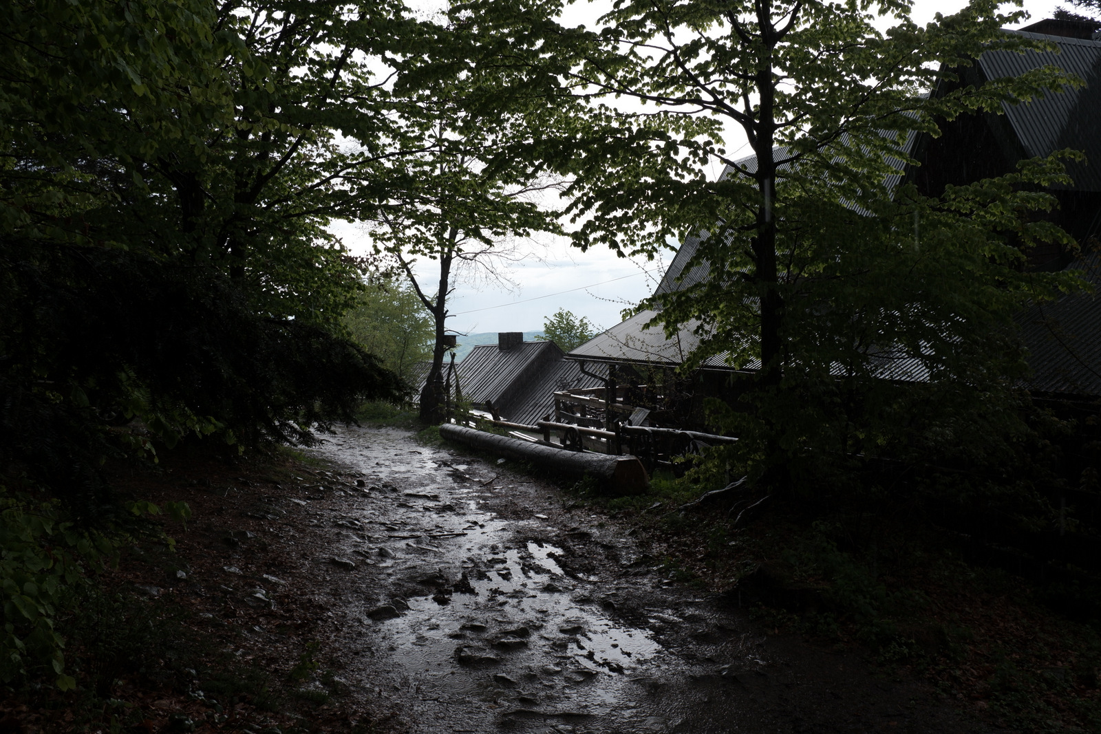 Nazwa:  DSCF5557.JPG
Wyświetleń: 136
Rozmiar:  756,5 KB