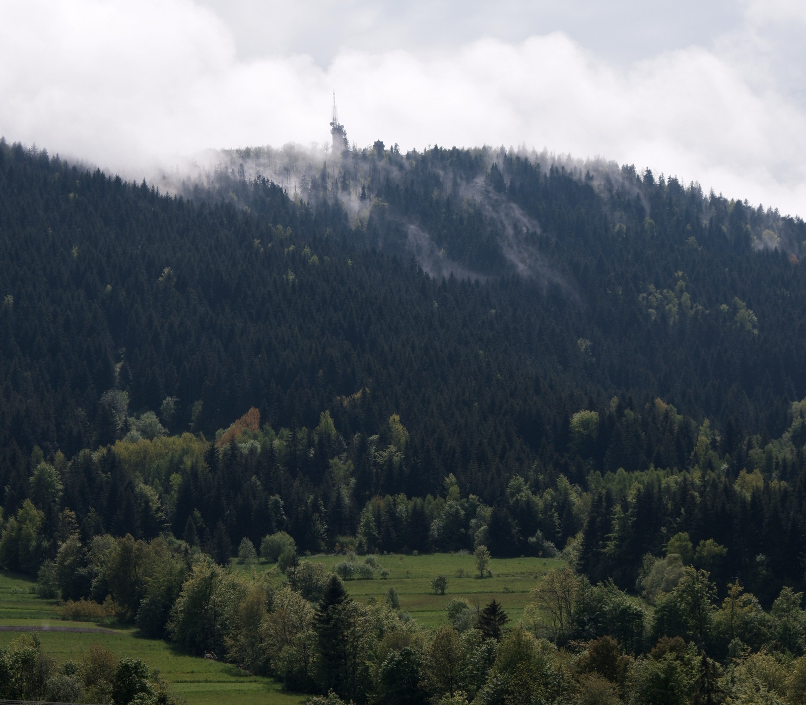 Nazwa:  DSCF5606.JPG
Wyświetleń: 264
Rozmiar:  599,2 KB