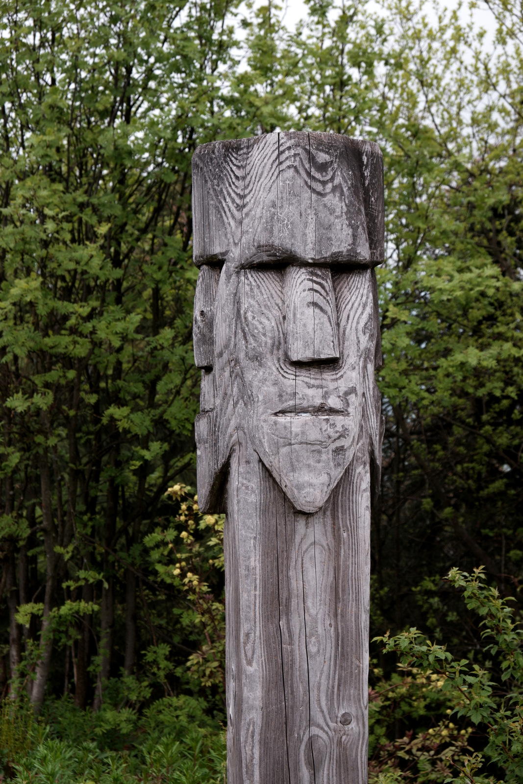 Nazwa:  DSCF5595.JPG
Wyświetleń: 259
Rozmiar:  735,0 KB