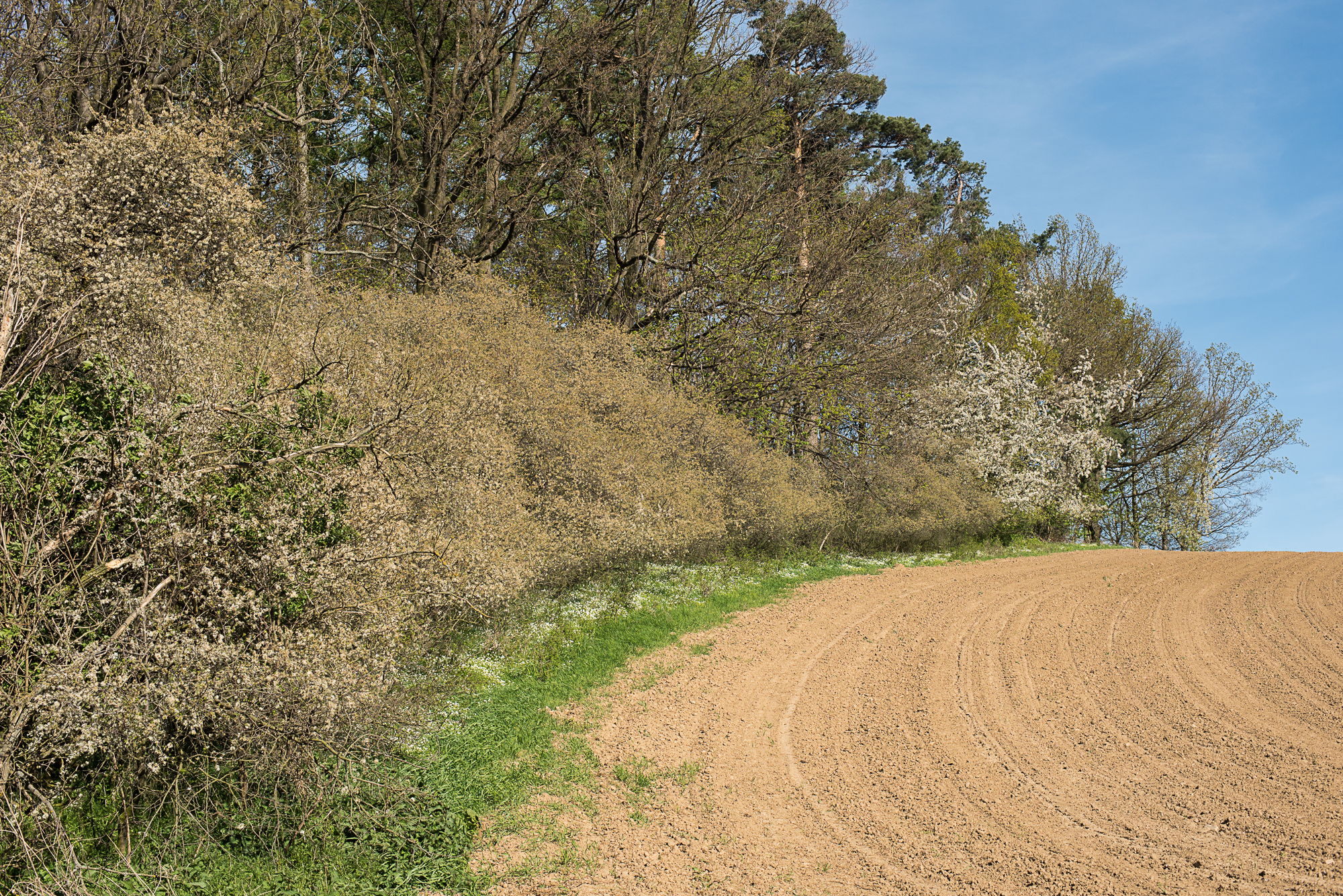 Nazwa:  Of-518.jpg
Wyświetleń: 78
Rozmiar:  4,20 MB