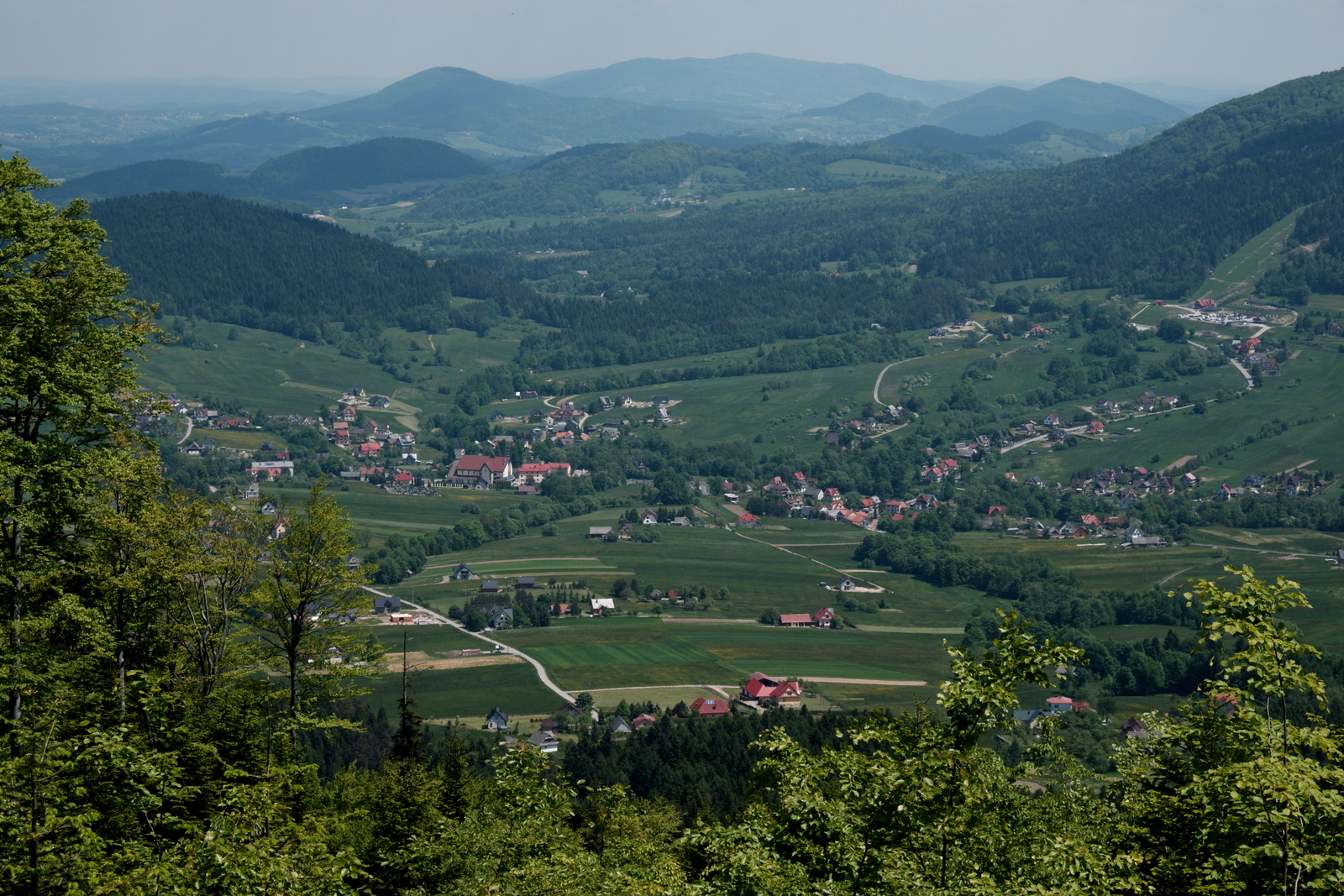 Nazwa:  DSCF5729.JPG
Wyświetleń: 203
Rozmiar:  818,3 KB