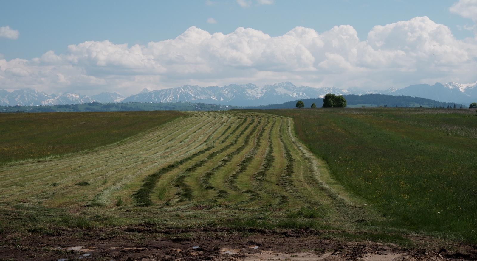 Nazwa:  DSCF5746.JPG
Wyświetleń: 196
Rozmiar:  495,1 KB