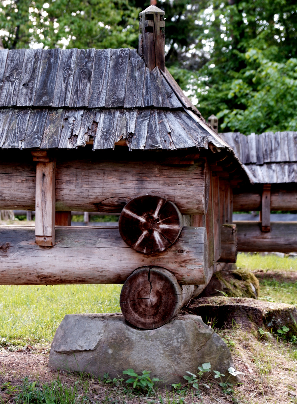 Nazwa:  DSCF5694.JPG
Wyświetleń: 143
Rozmiar:  825,0 KB