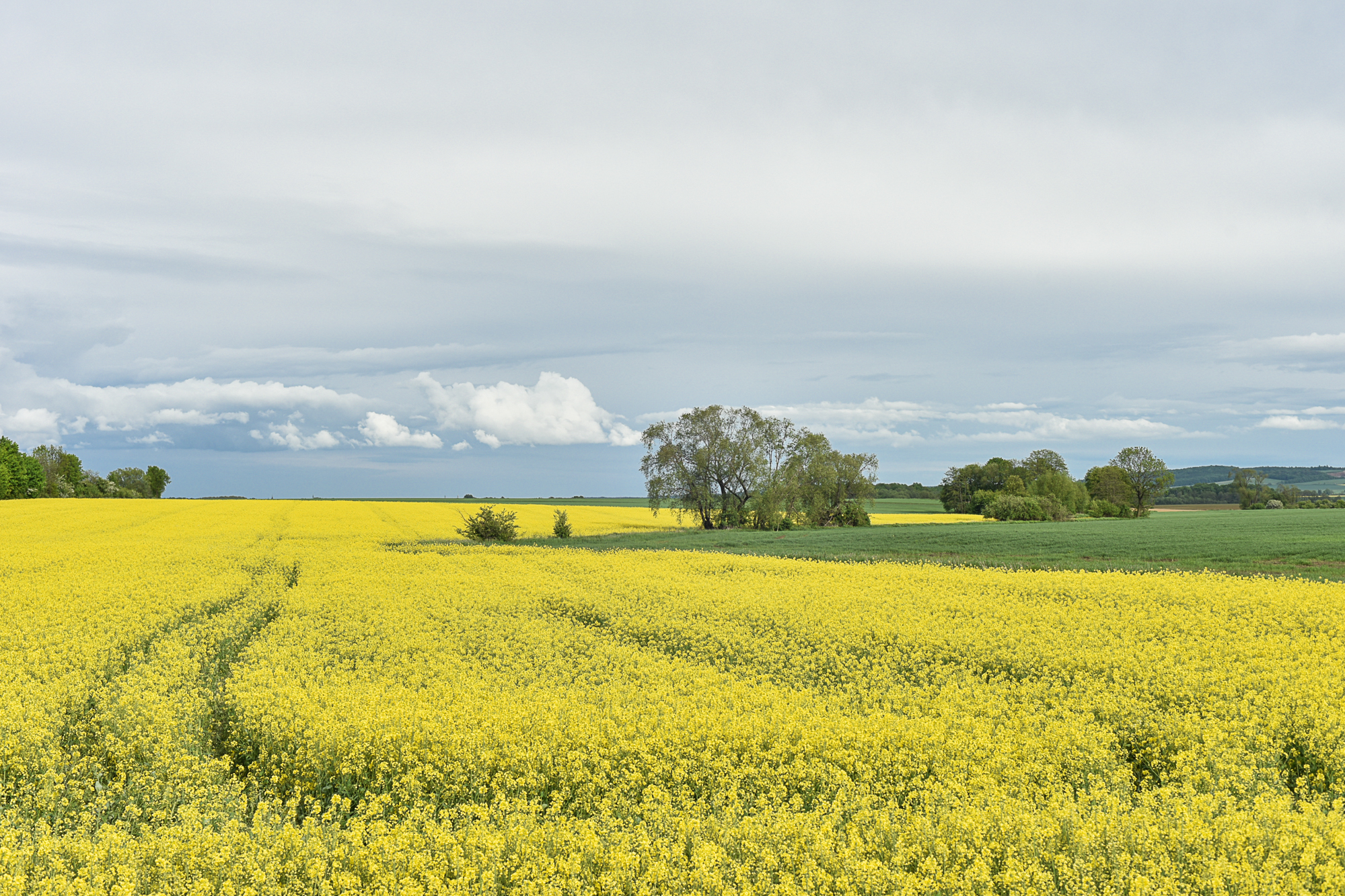 Nazwa:  Of-531.jpg
Wyświetleń: 237
Rozmiar:  2,58 MB