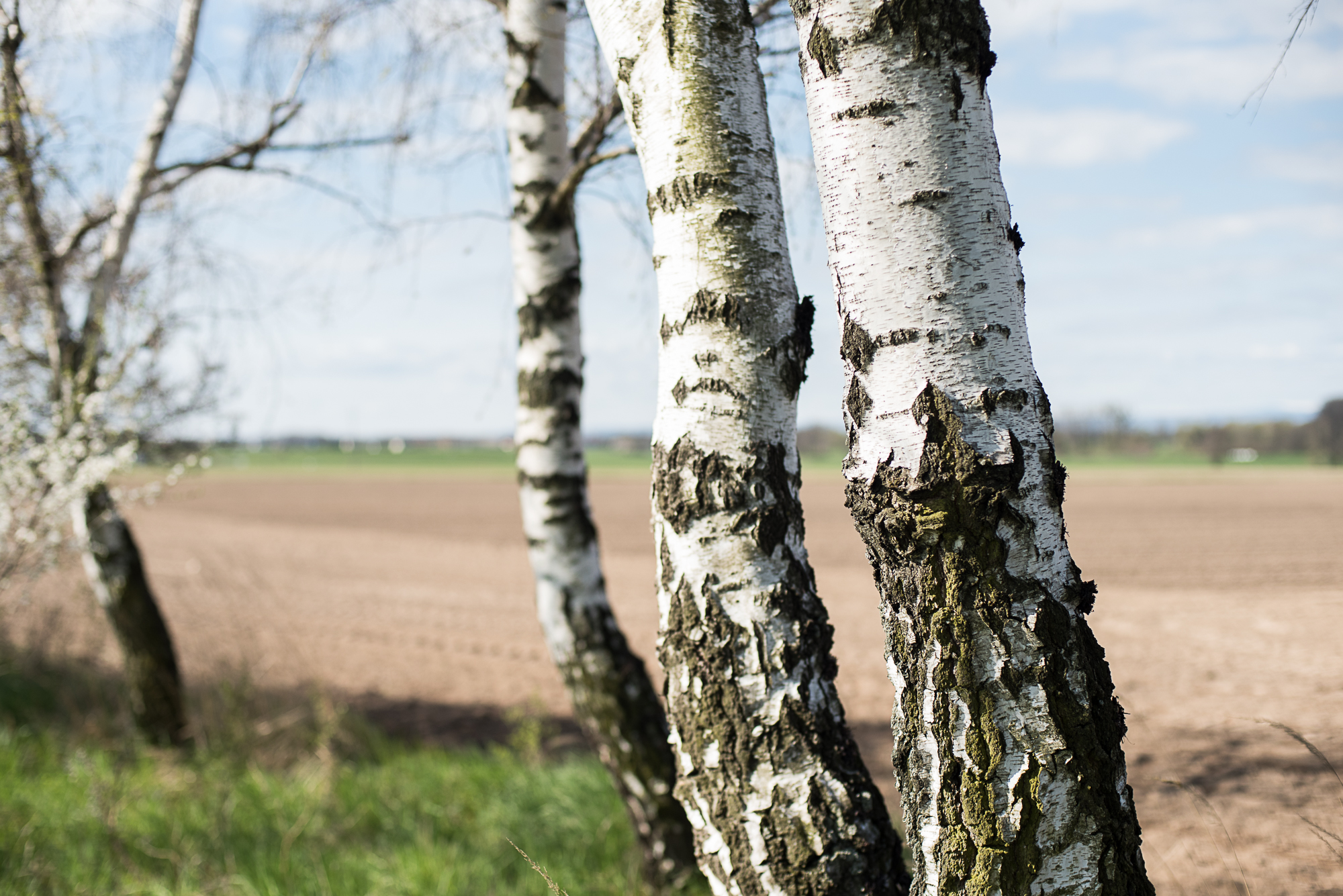 Nazwa:  Of-532.jpg
Wyświetleń: 136
Rozmiar:  1,54 MB