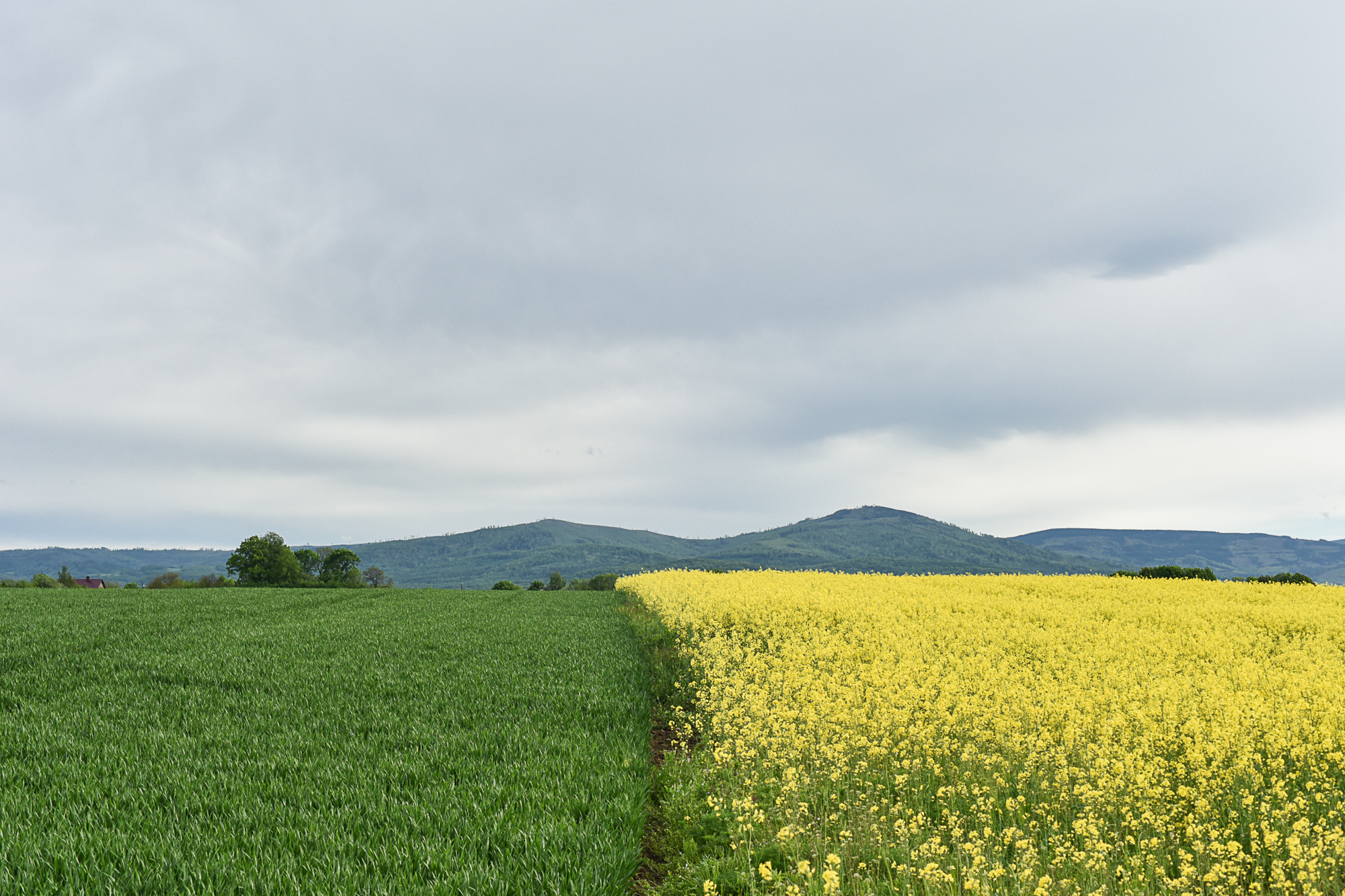 Nazwa:  Of-533.jpg
Wyświetleń: 194
Rozmiar:  2,08 MB