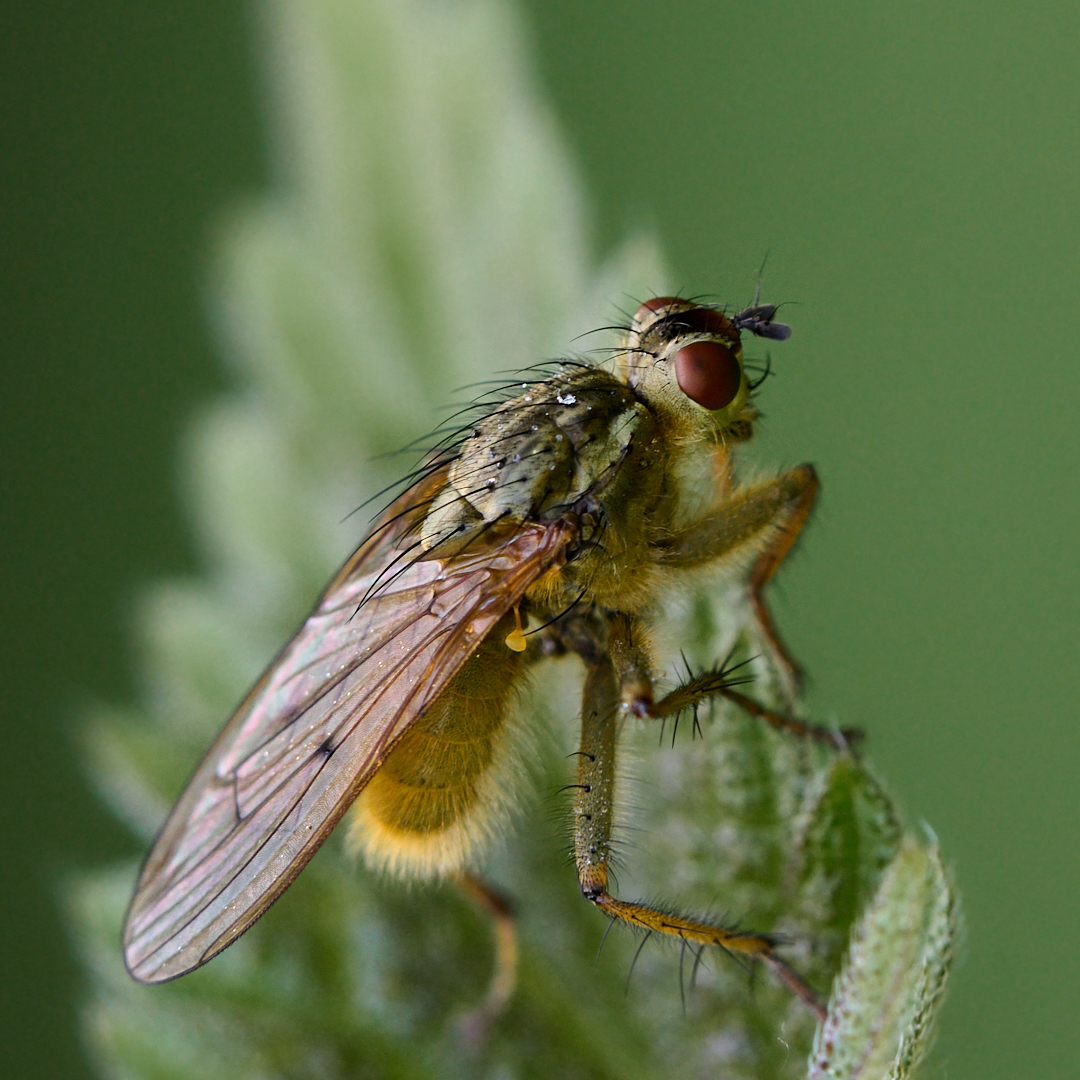 Nazwa:  _2226605 1.jpg
Wyświetleń: 90
Rozmiar:  1.002,7 KB