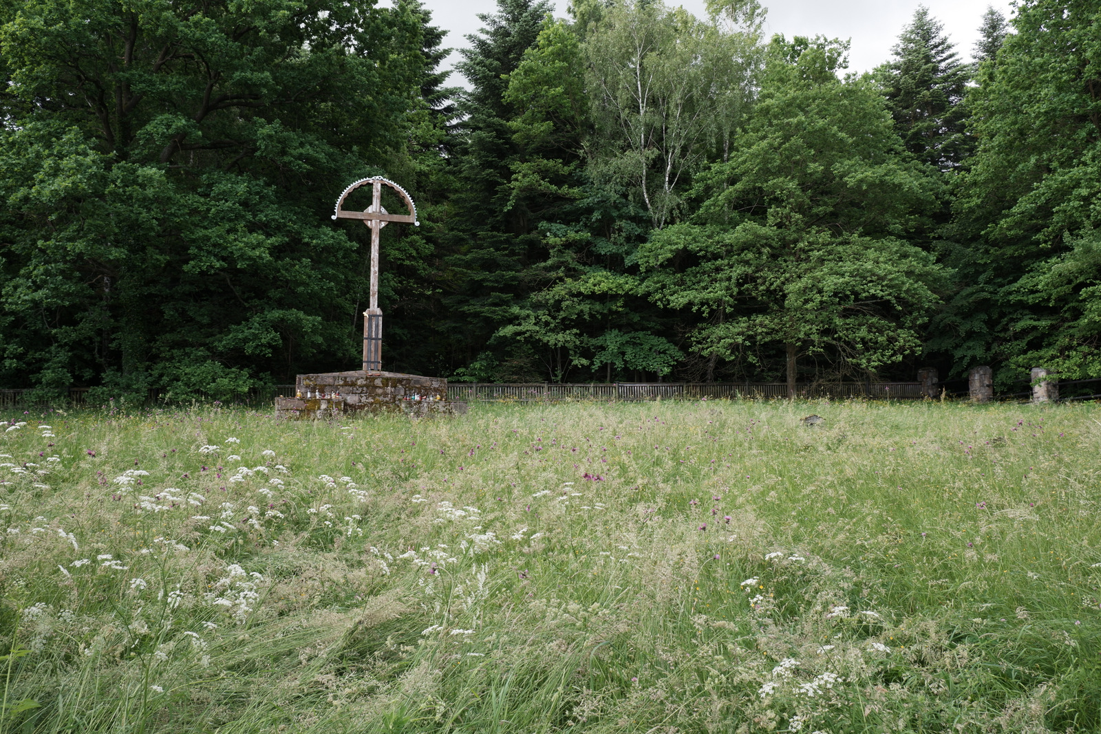 Nazwa:  DSCF5765.JPG
Wyświetleń: 121
Rozmiar:  1,02 MB