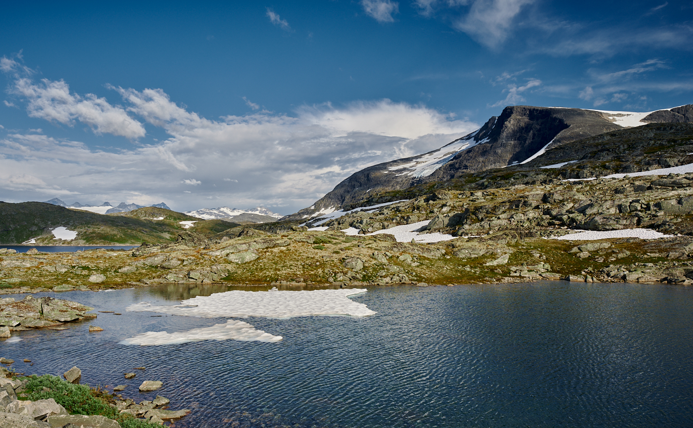 Nazwa:  _NO79843 7.jpg
Wyświetleń: 114
Rozmiar:  1,49 MB