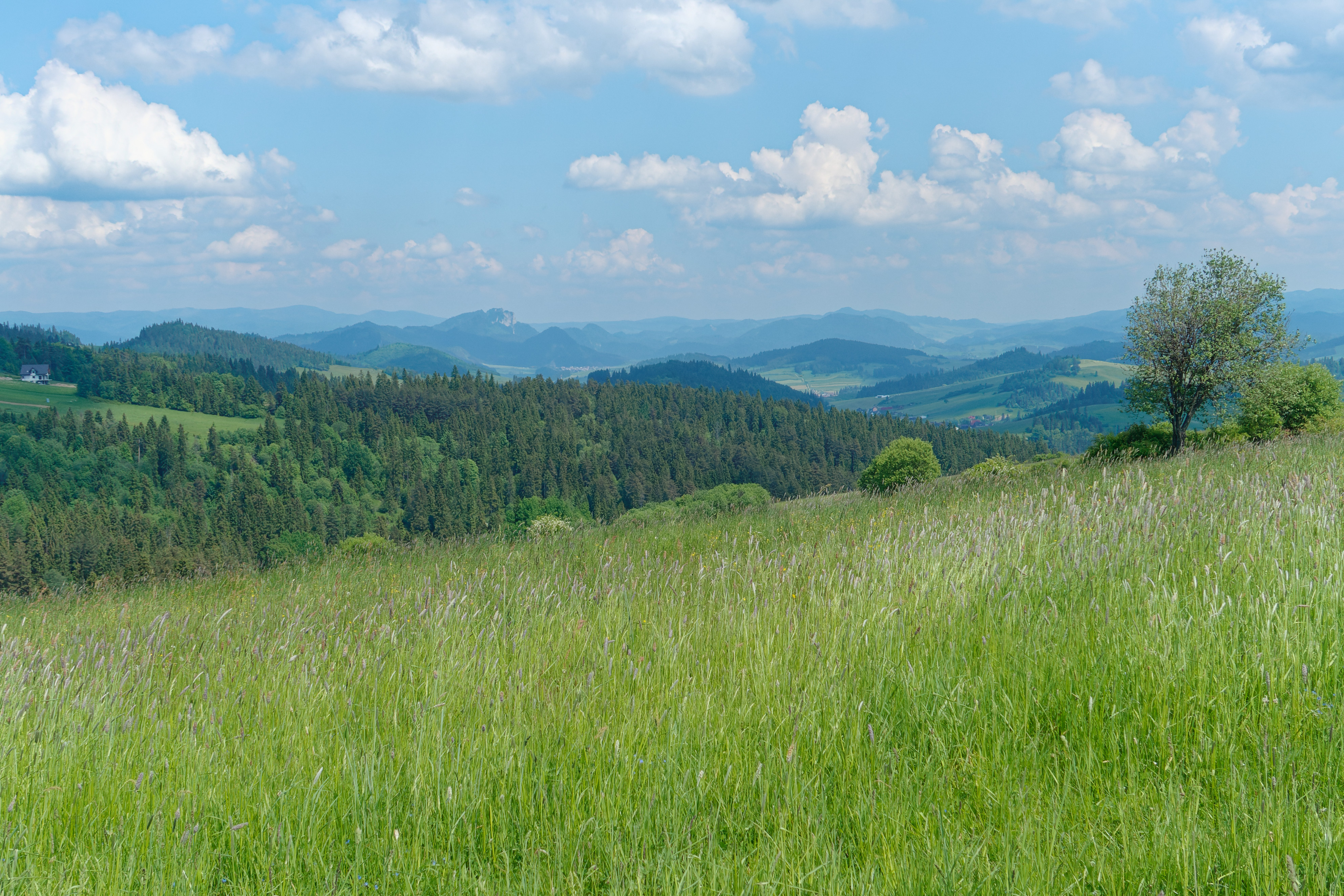 Nazwa:  2021_06_09_11.jpg
Wyświetleń: 156
Rozmiar:  3,41 MB